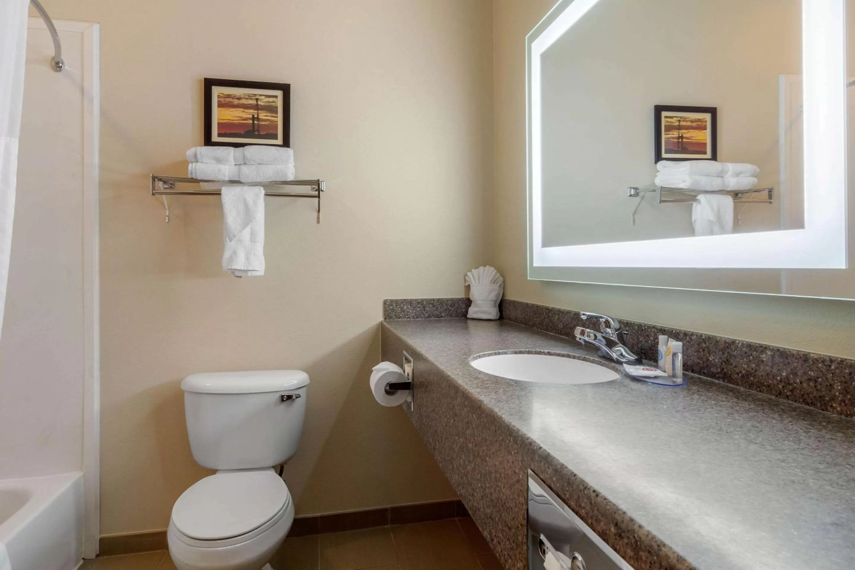Bathroom in Comfort Inn & Suites Sterling