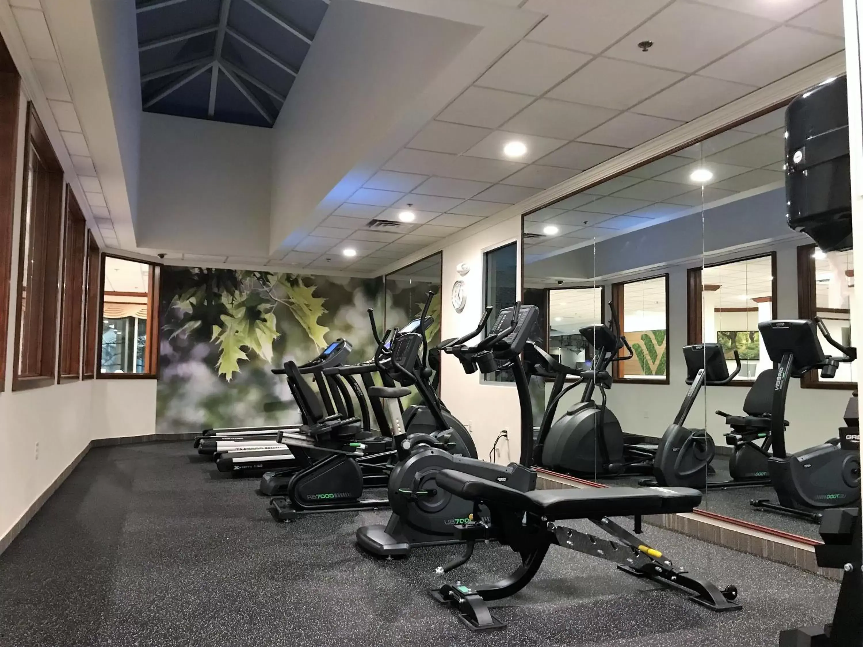 Fitness centre/facilities, Fitness Center/Facilities in Medallion Inn and Suites