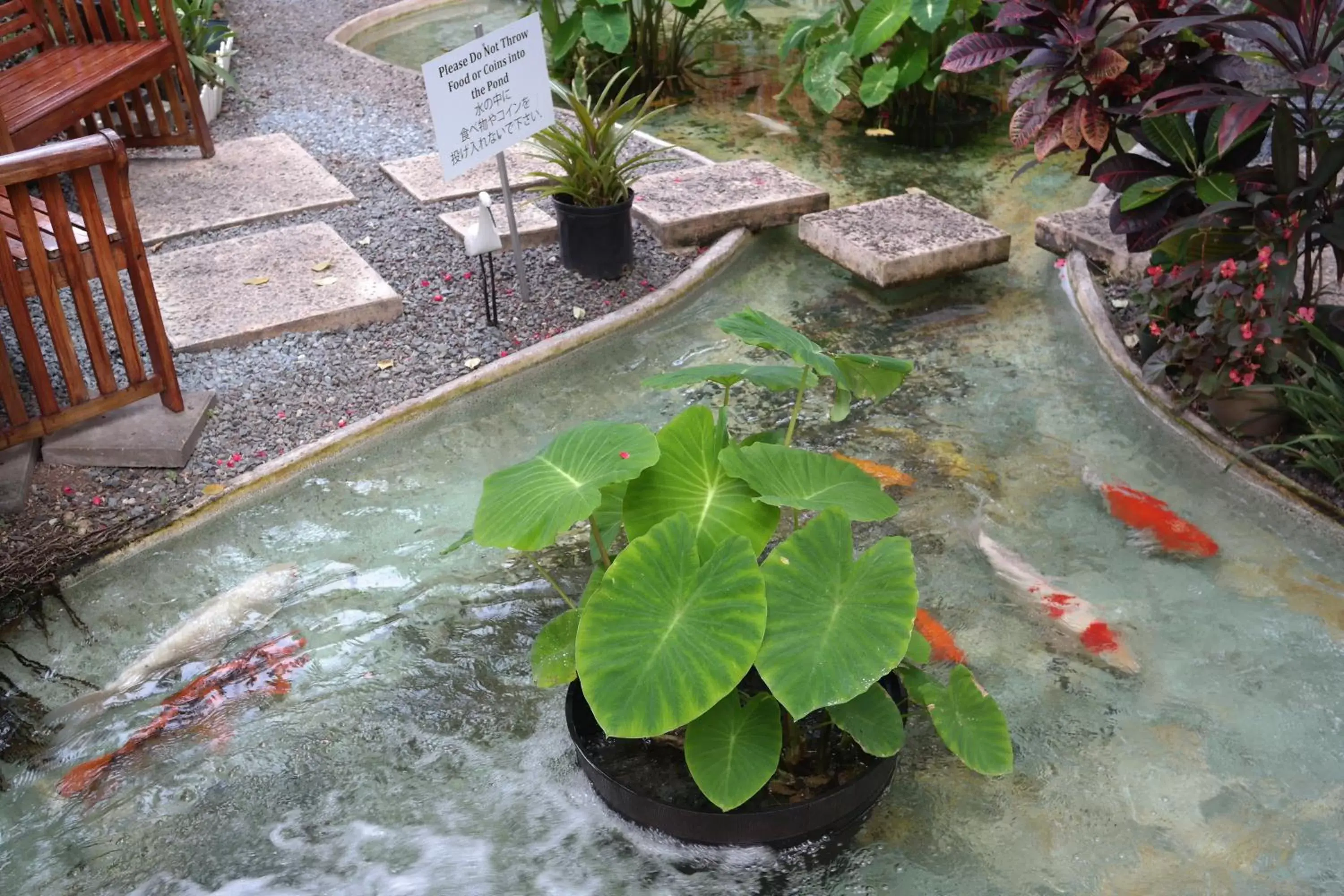 Garden, Pool View in Aqua Oasis