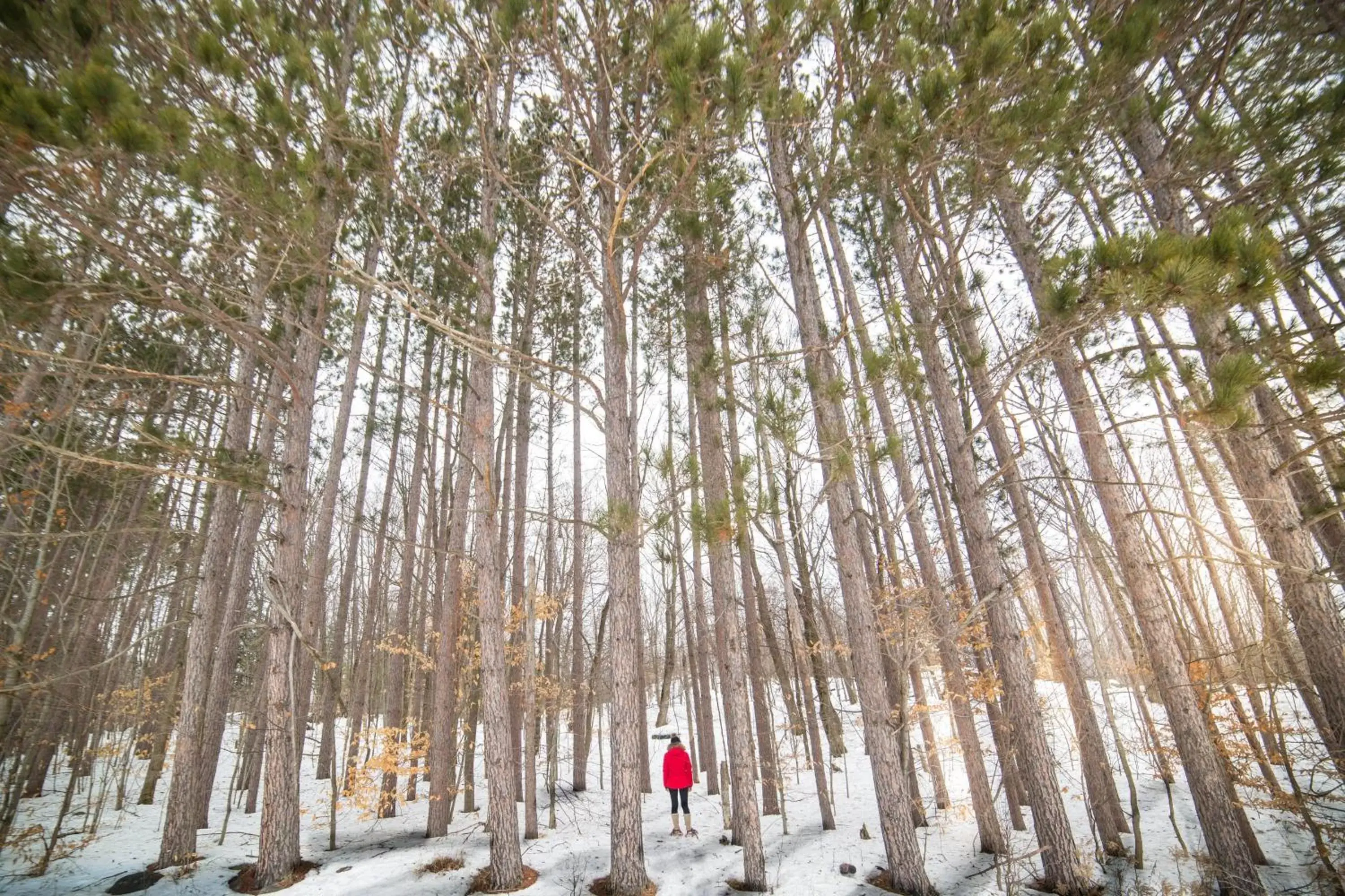 Other in JW Marriott The Rosseau Muskoka Resort & Spa