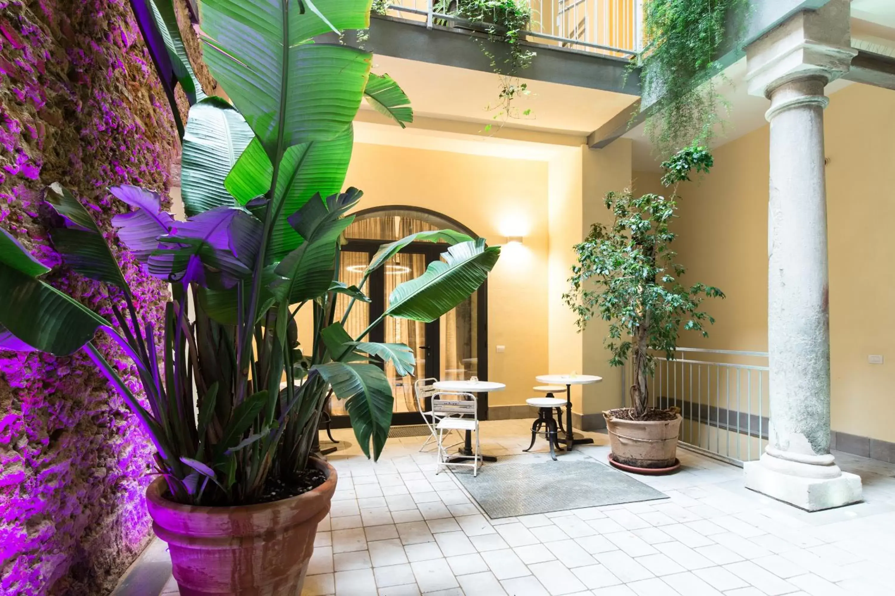 Inner courtyard view in Agave in Città