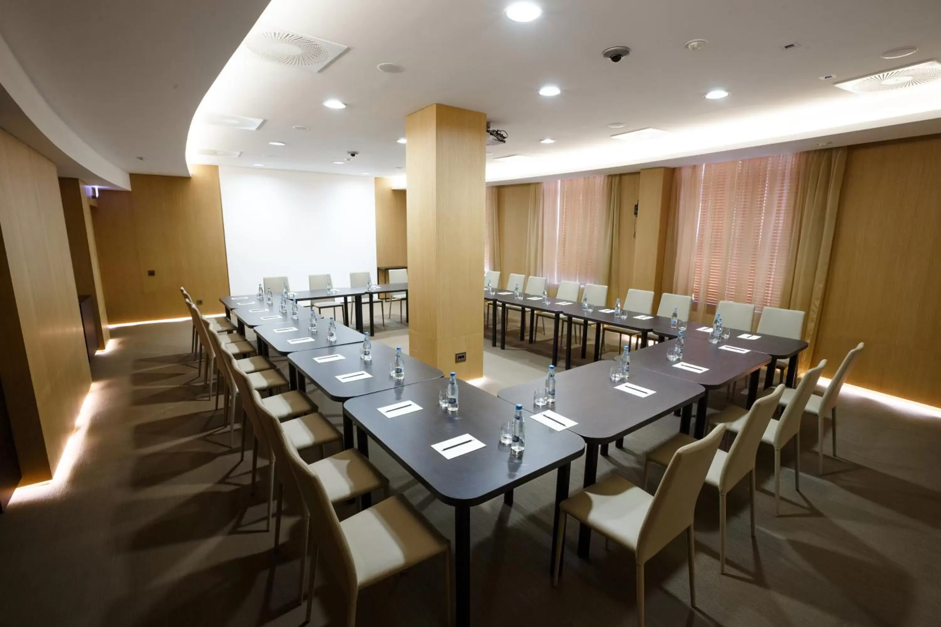 Business facilities in BERDS Chisinau Mgallery Hotel Collection