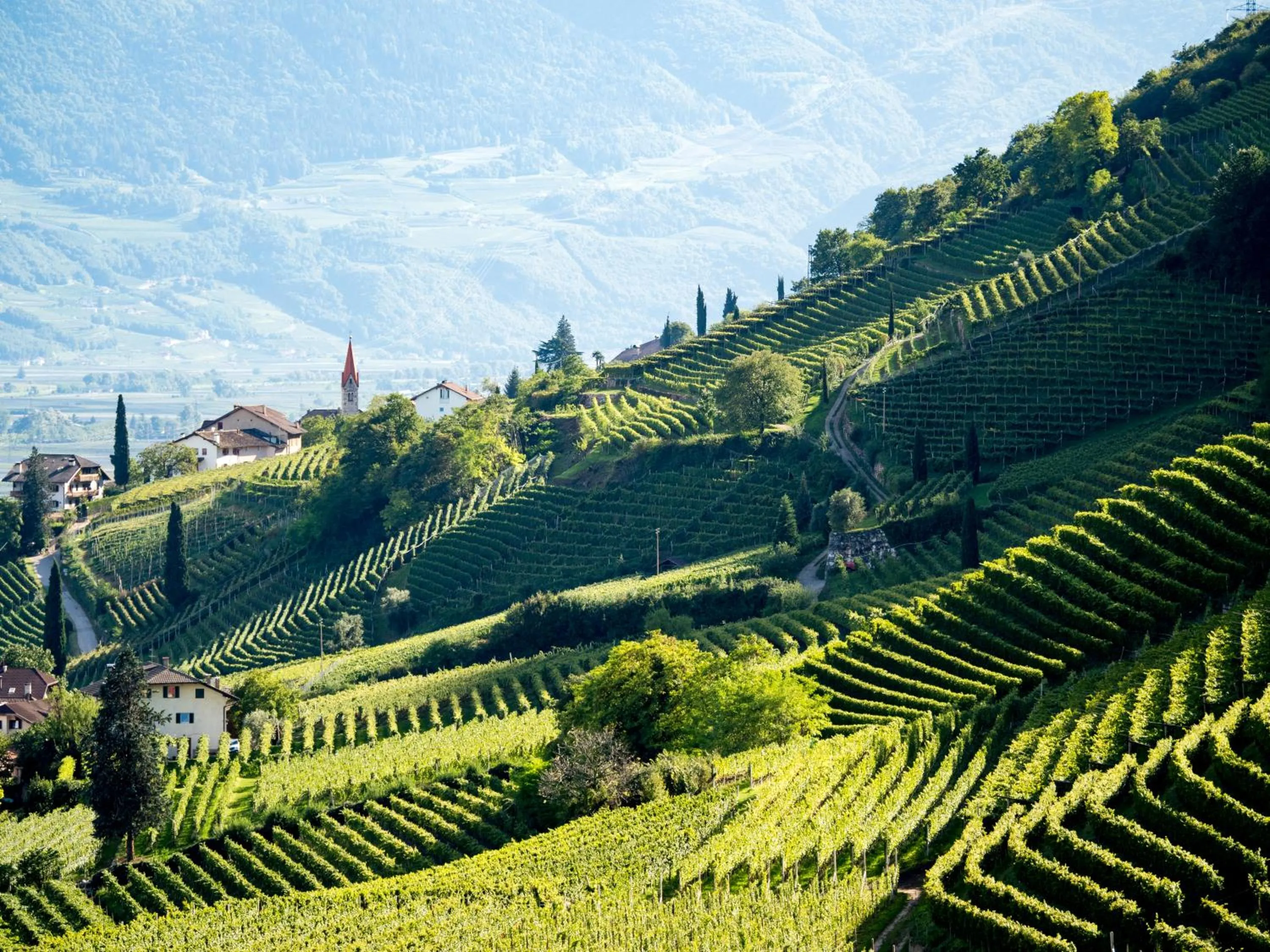 View (from property/room) in Hotel Plattenhof