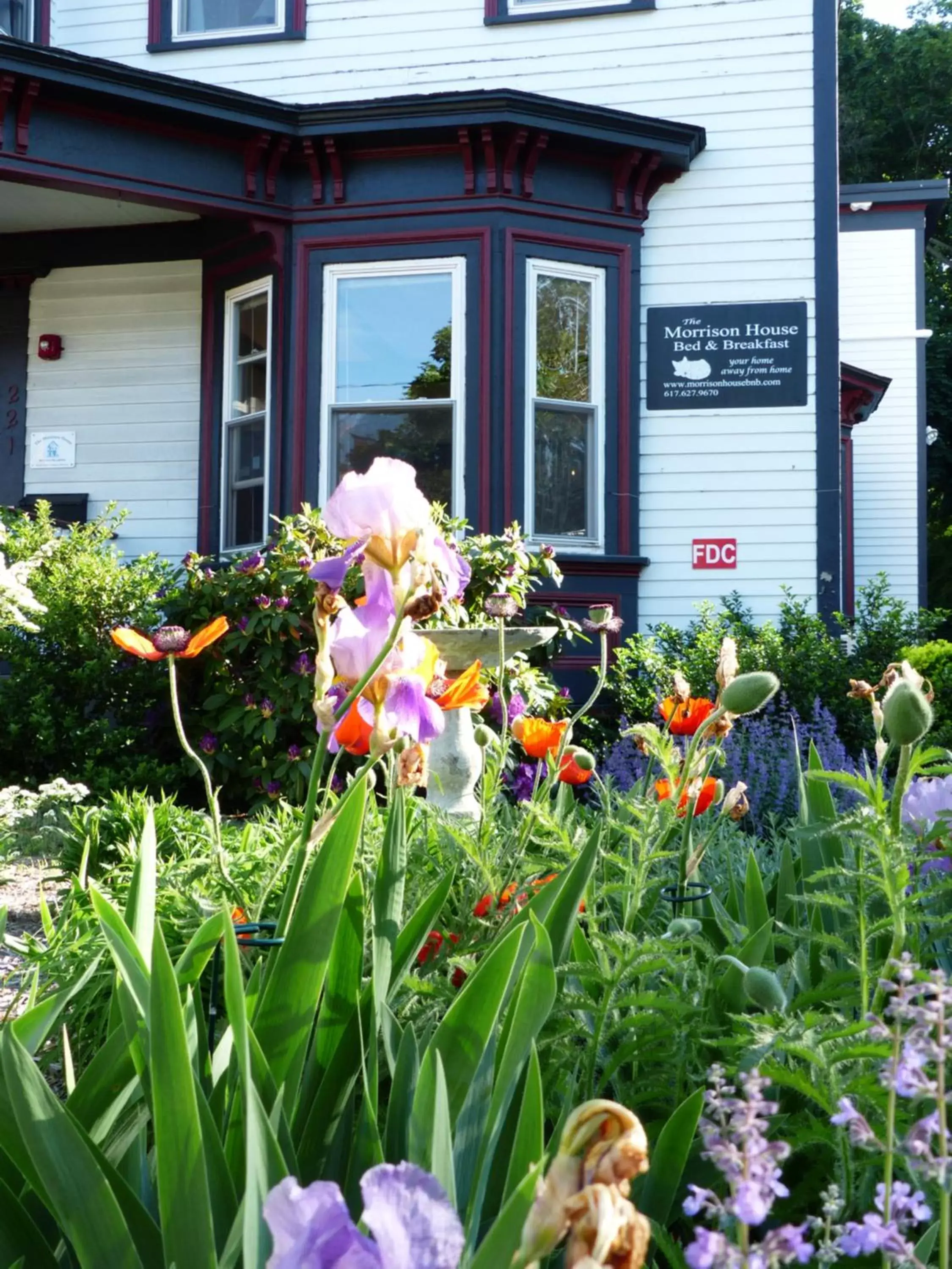 Garden, Property Building in The Morrison House Bed and Breakfast