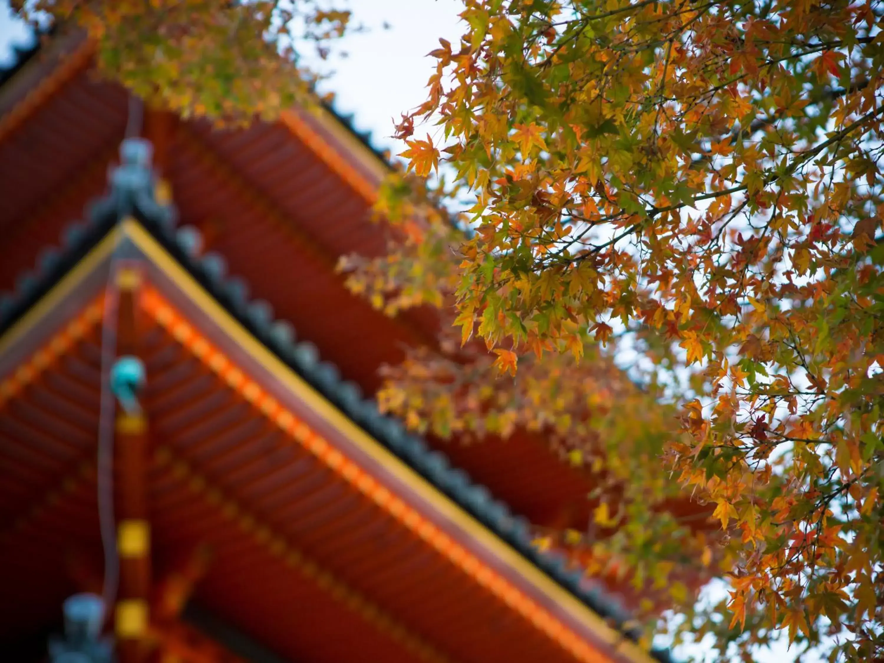 Nearby landmark, Property Building in Saka Hotel Kyoto