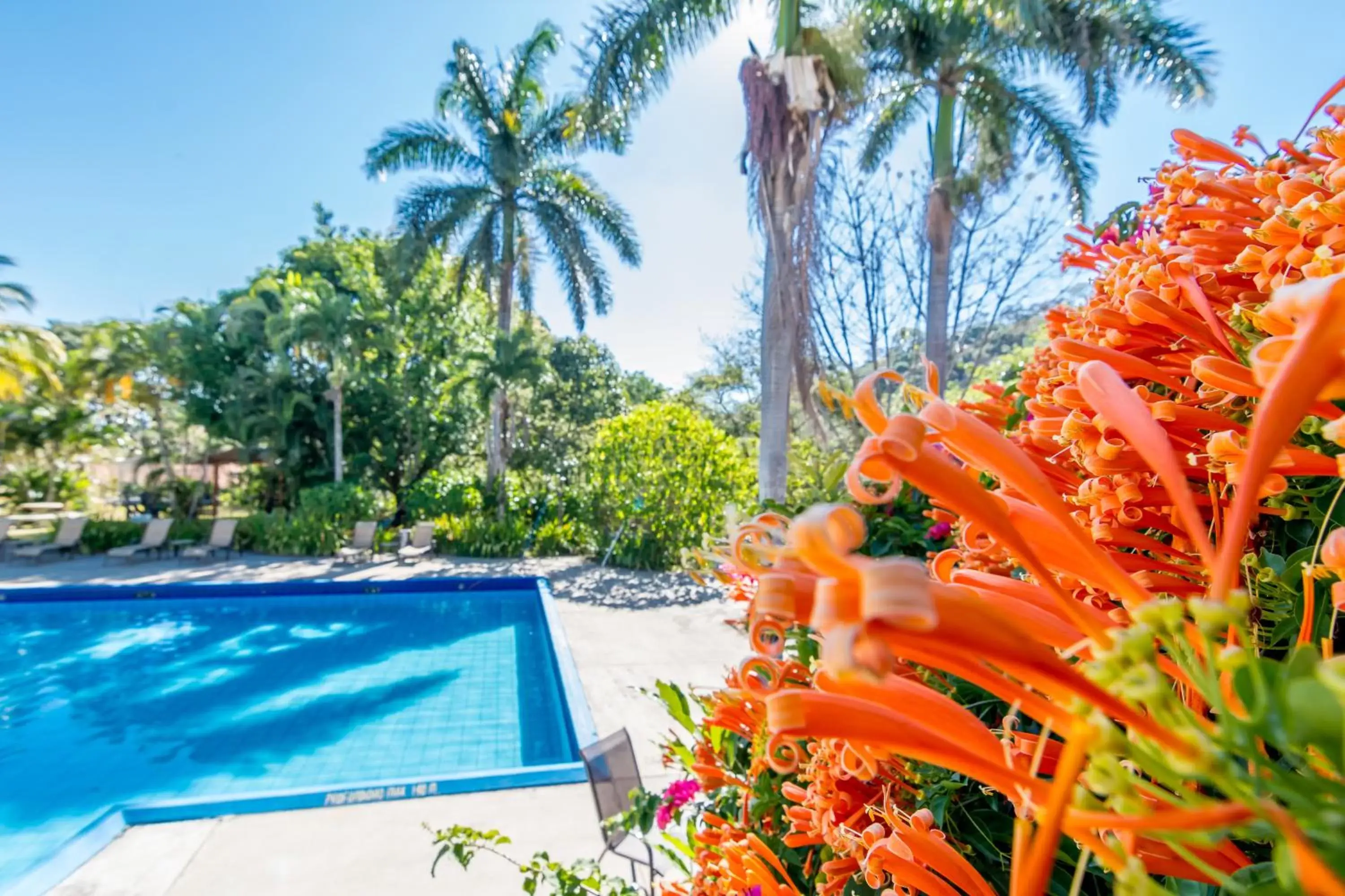 Swimming Pool in Hotel Colinas del Sol