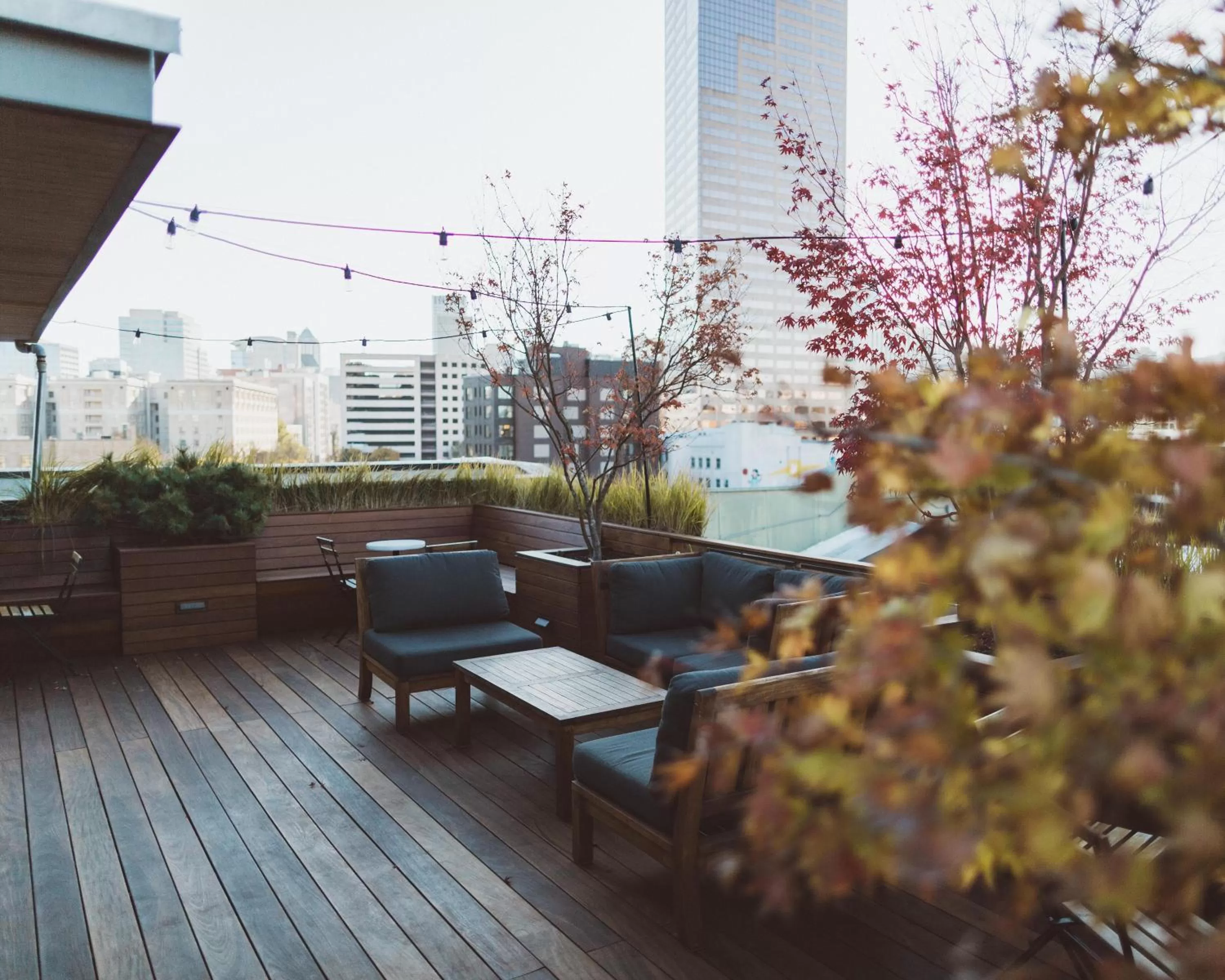 Patio in The Society Hotel
