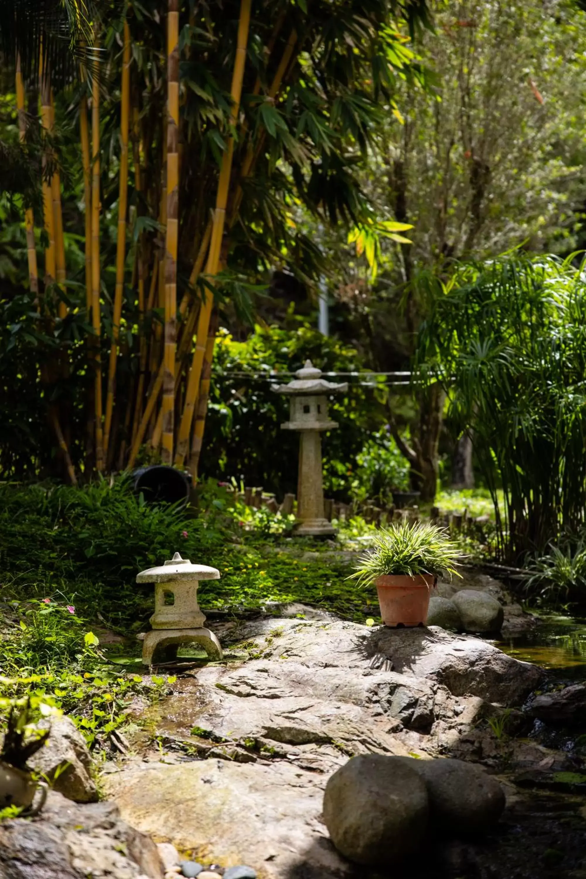 Garden in Genting View Resort