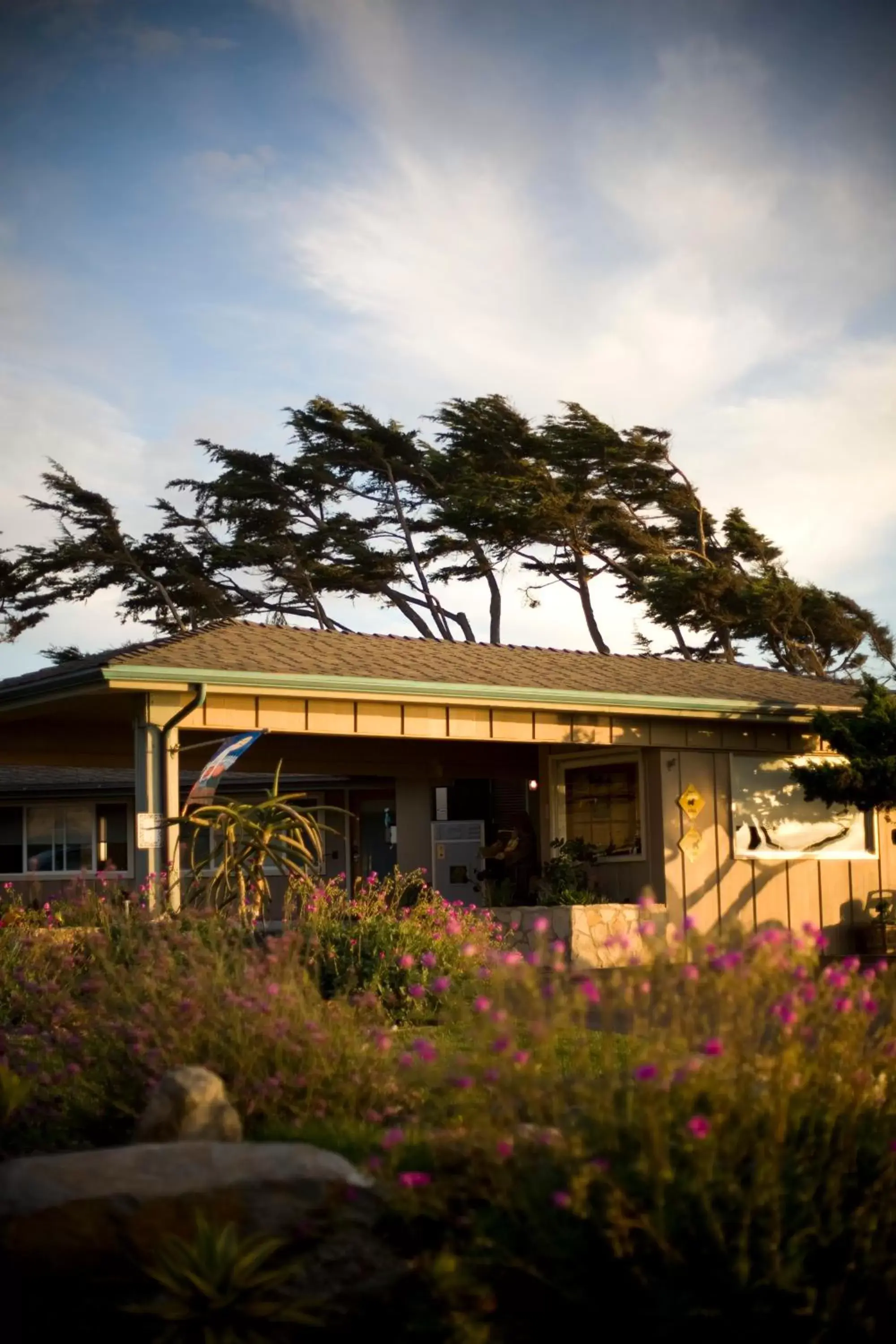 Facade/entrance, Property Building in Cambria Shores Inn