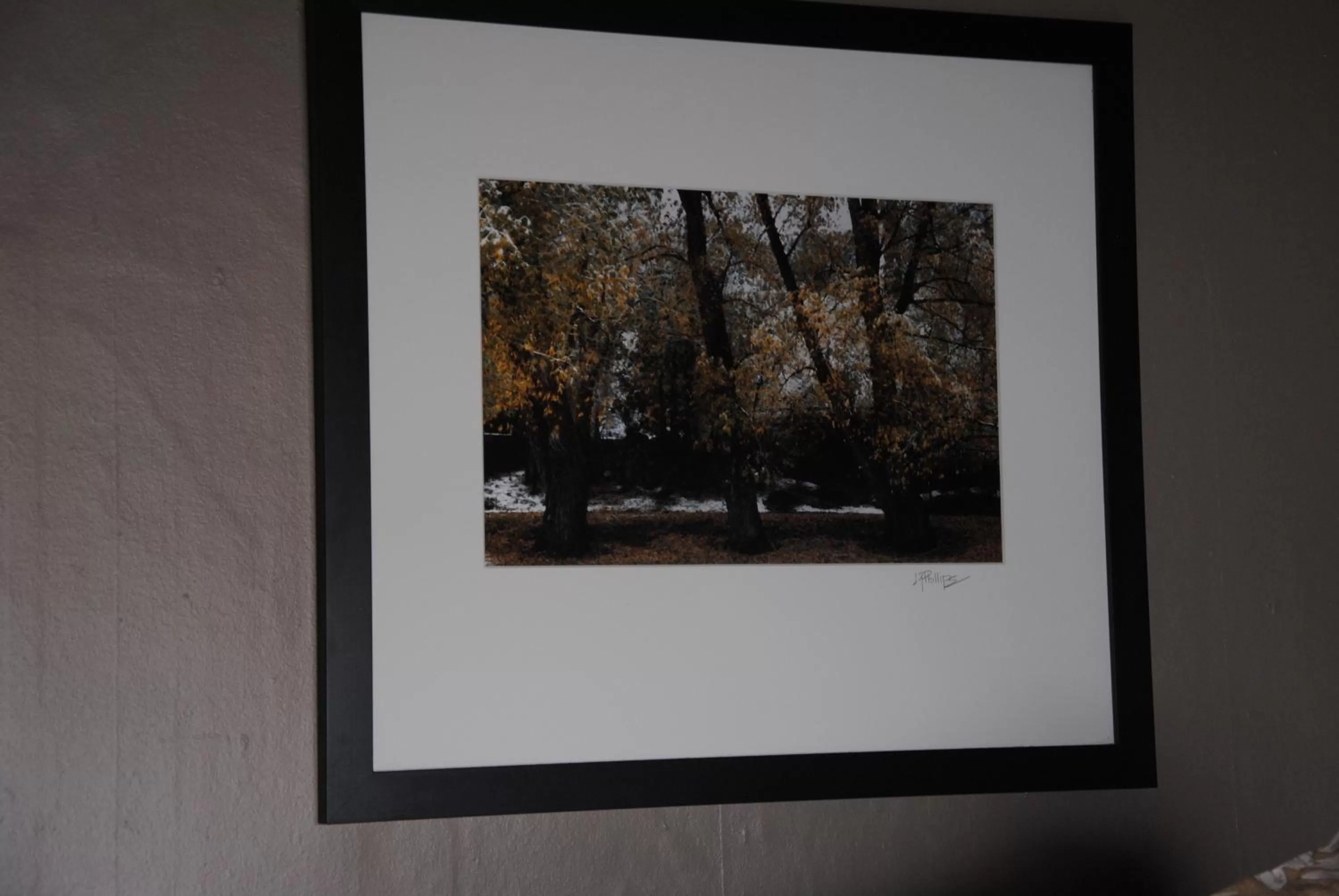 Decorative detail in Off Broadway B & B