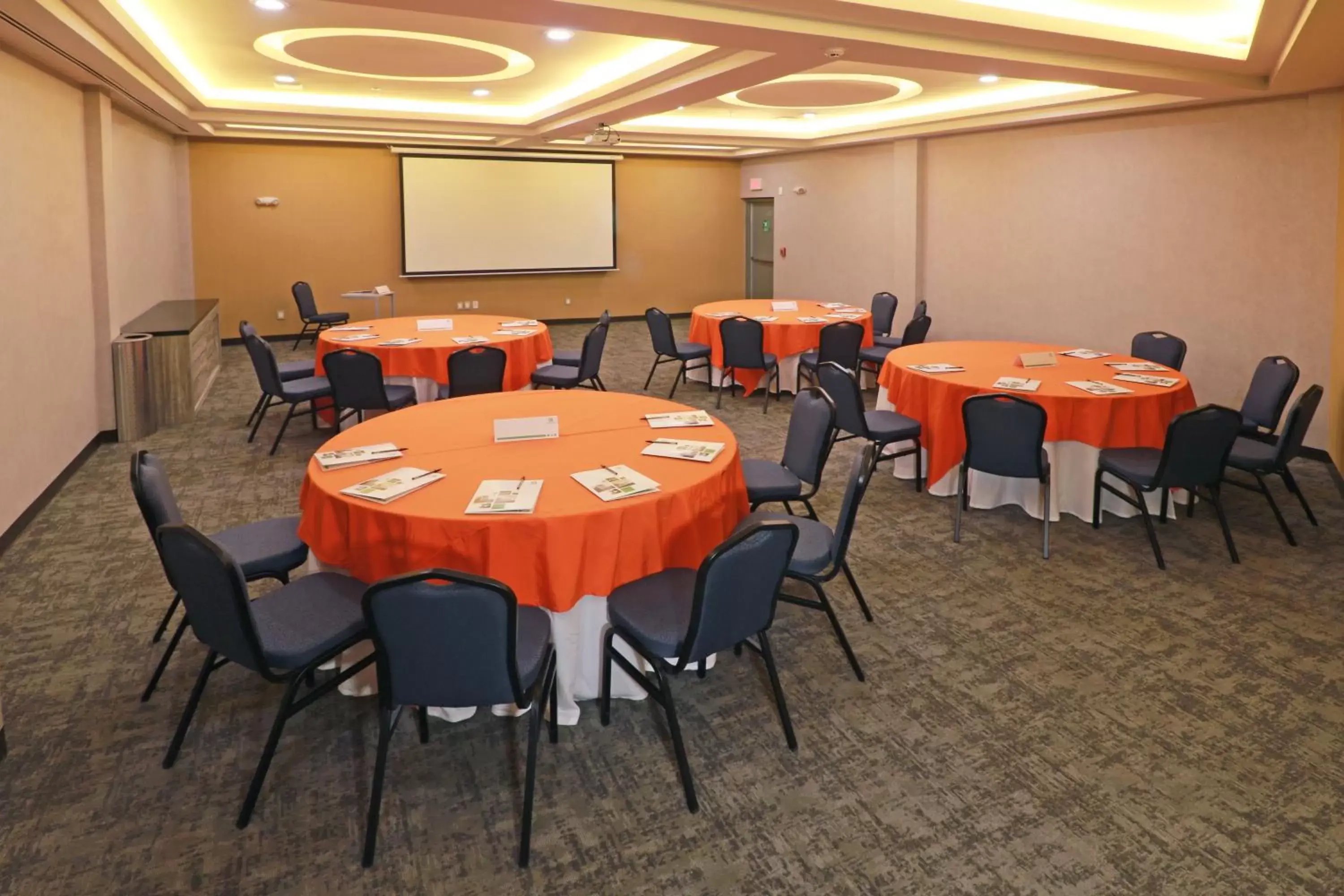 Meeting/conference room in Holiday Inn - Ciudad Juarez, an IHG Hotel