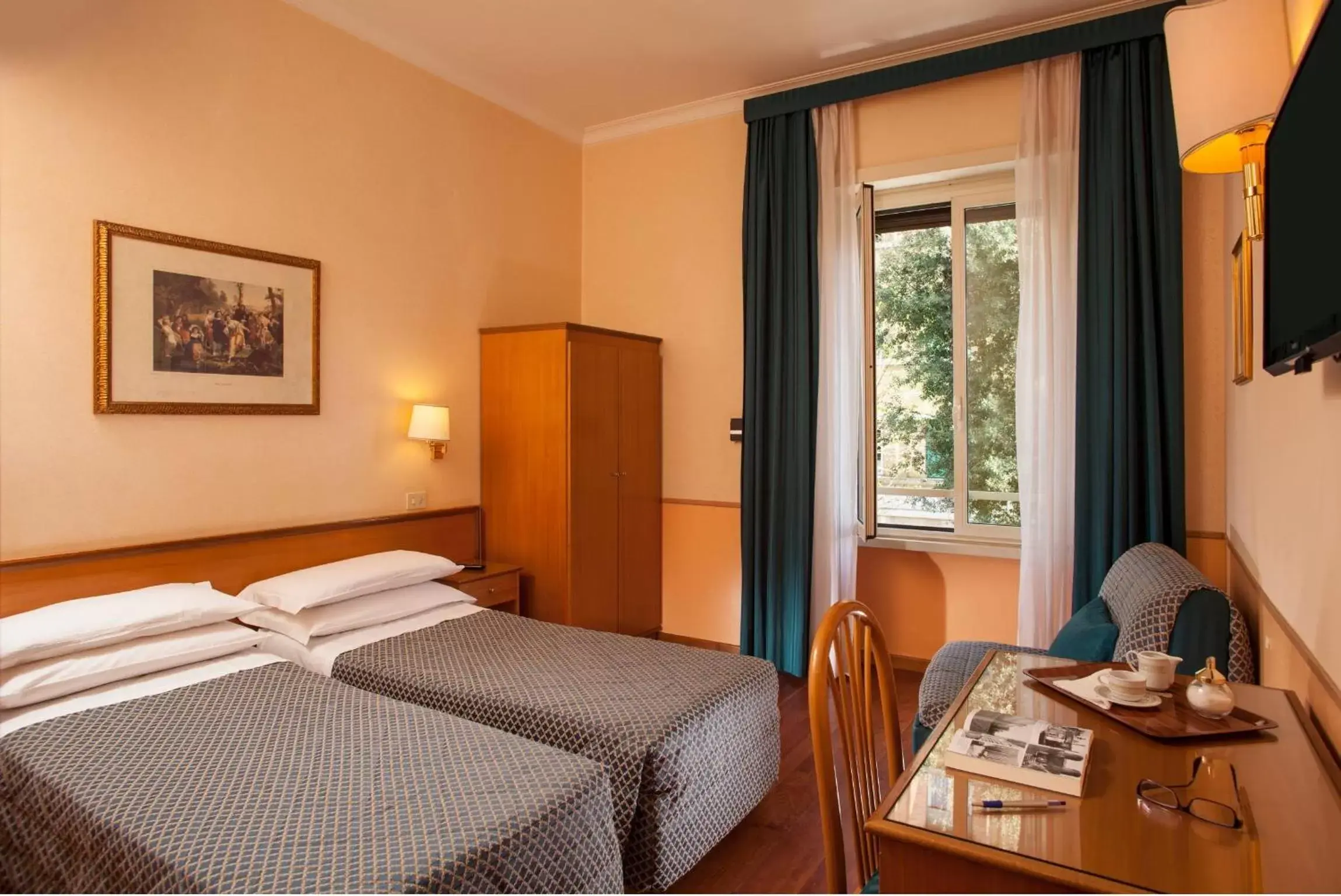 Double Room in Hotel Piemonte