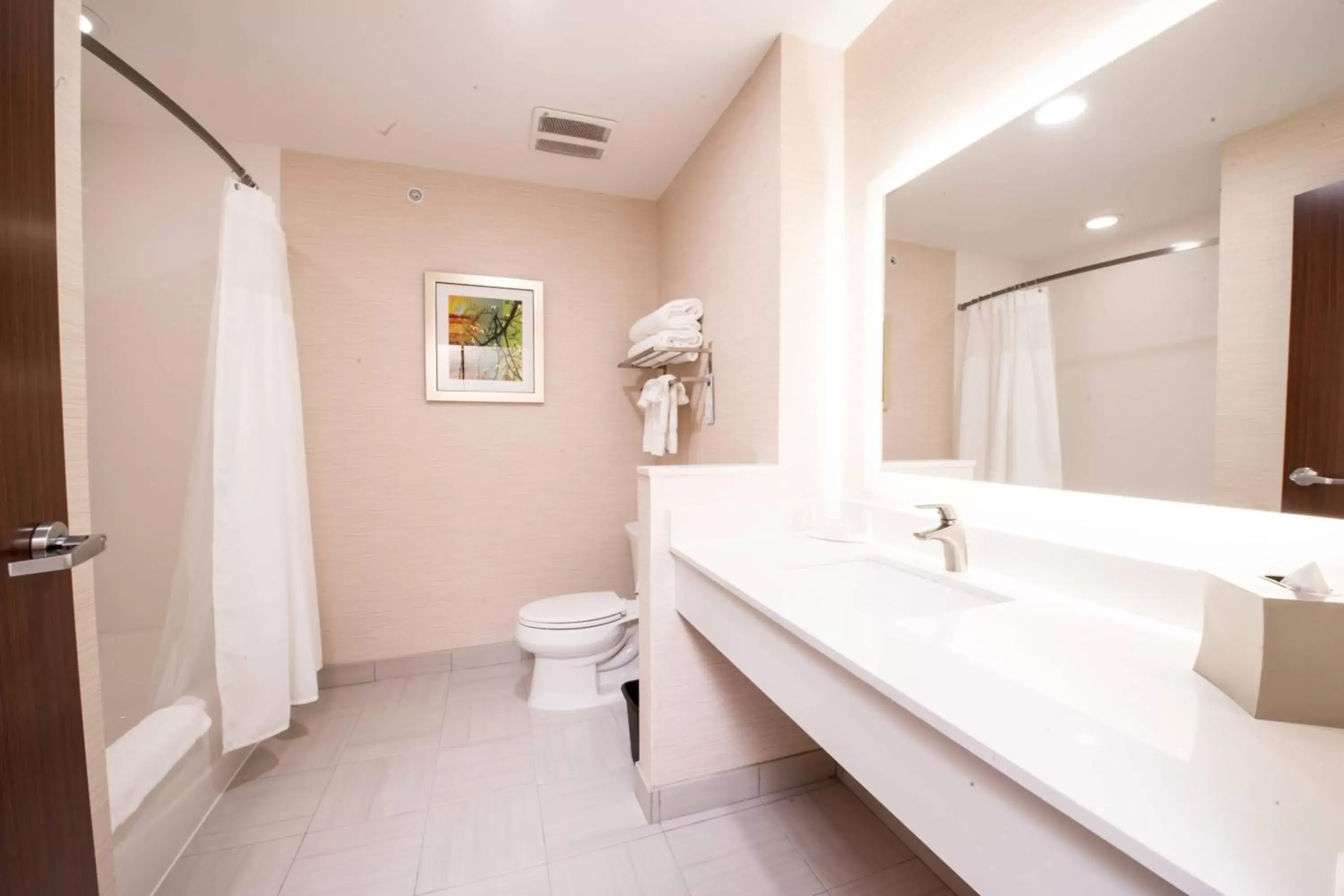 Bathroom in Fairfield Inn & Suites by Marriott Dallas Plano North