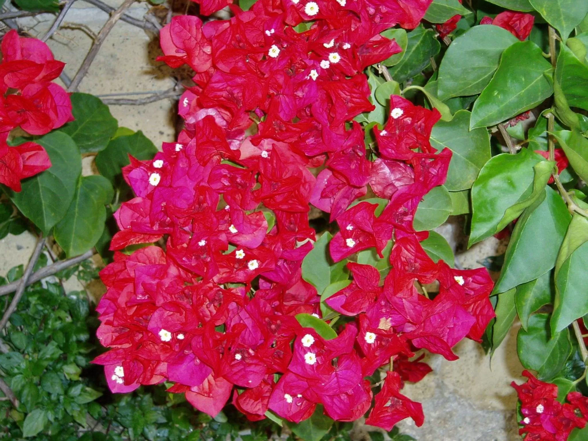 Other in Miramare Residence