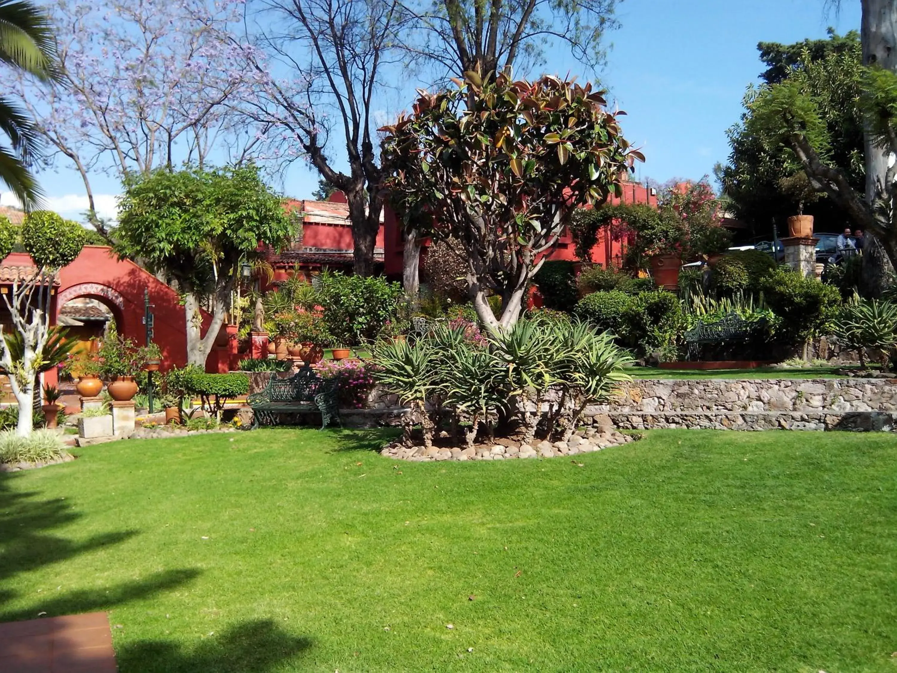 Garden in Villa San Jose Hotel & Suites