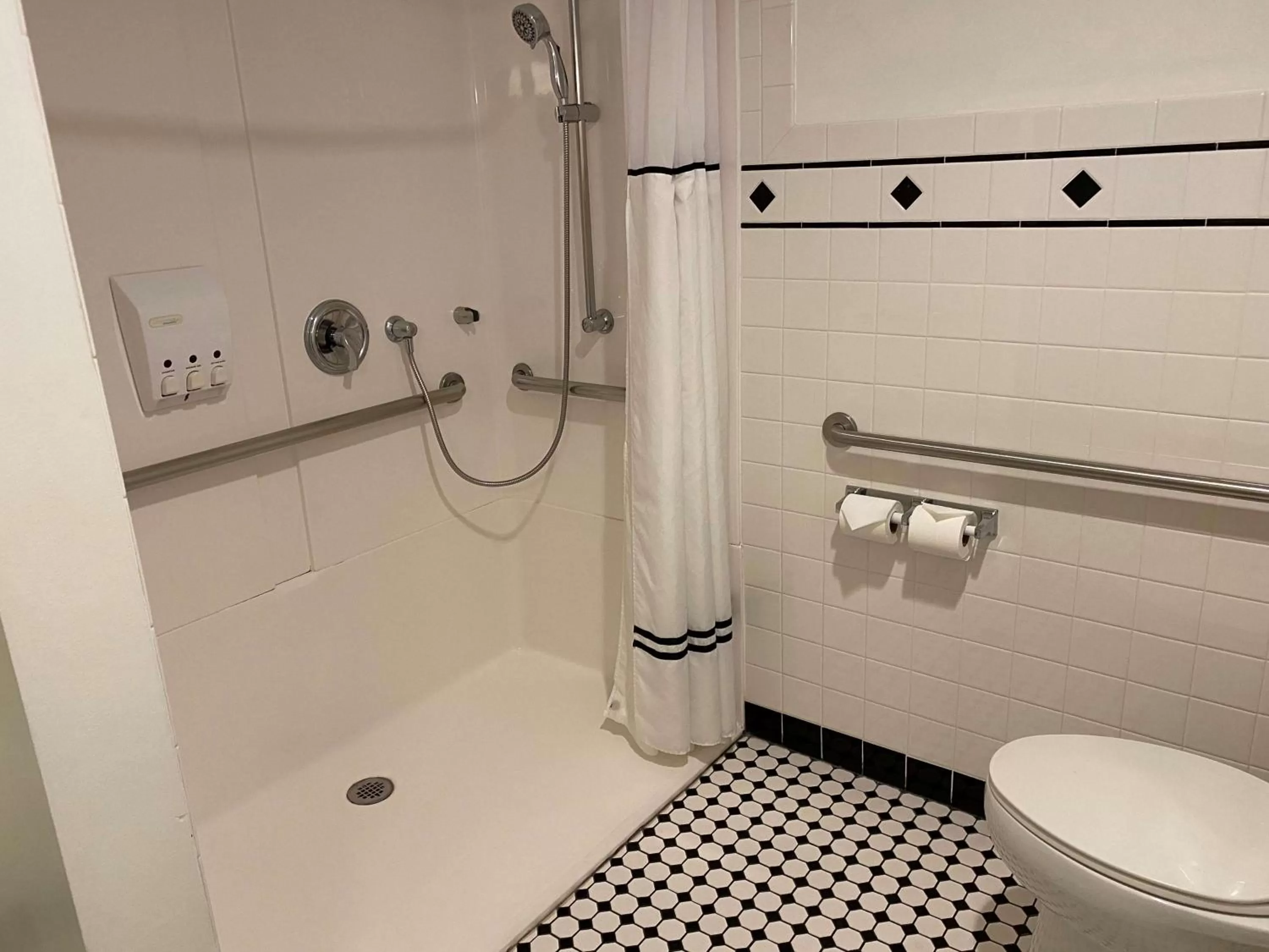 Bathroom in Best Western Chicago Downtown-River North