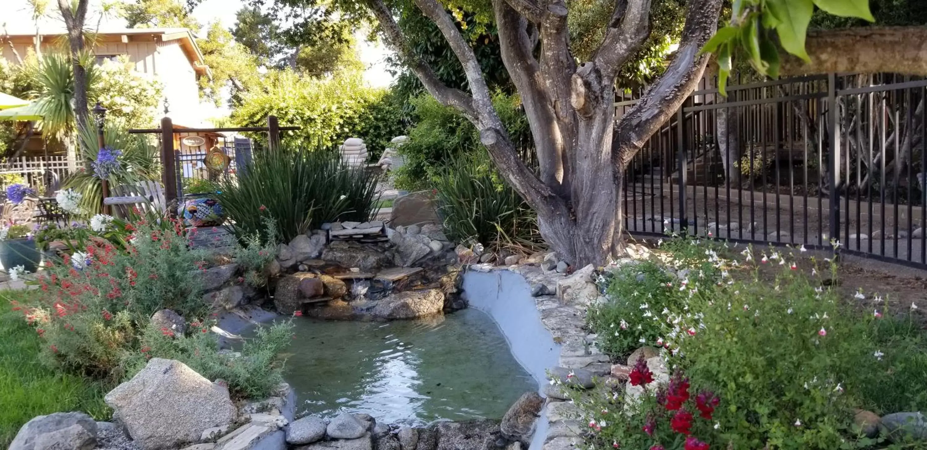 Garden in Carmel Valley Lodge