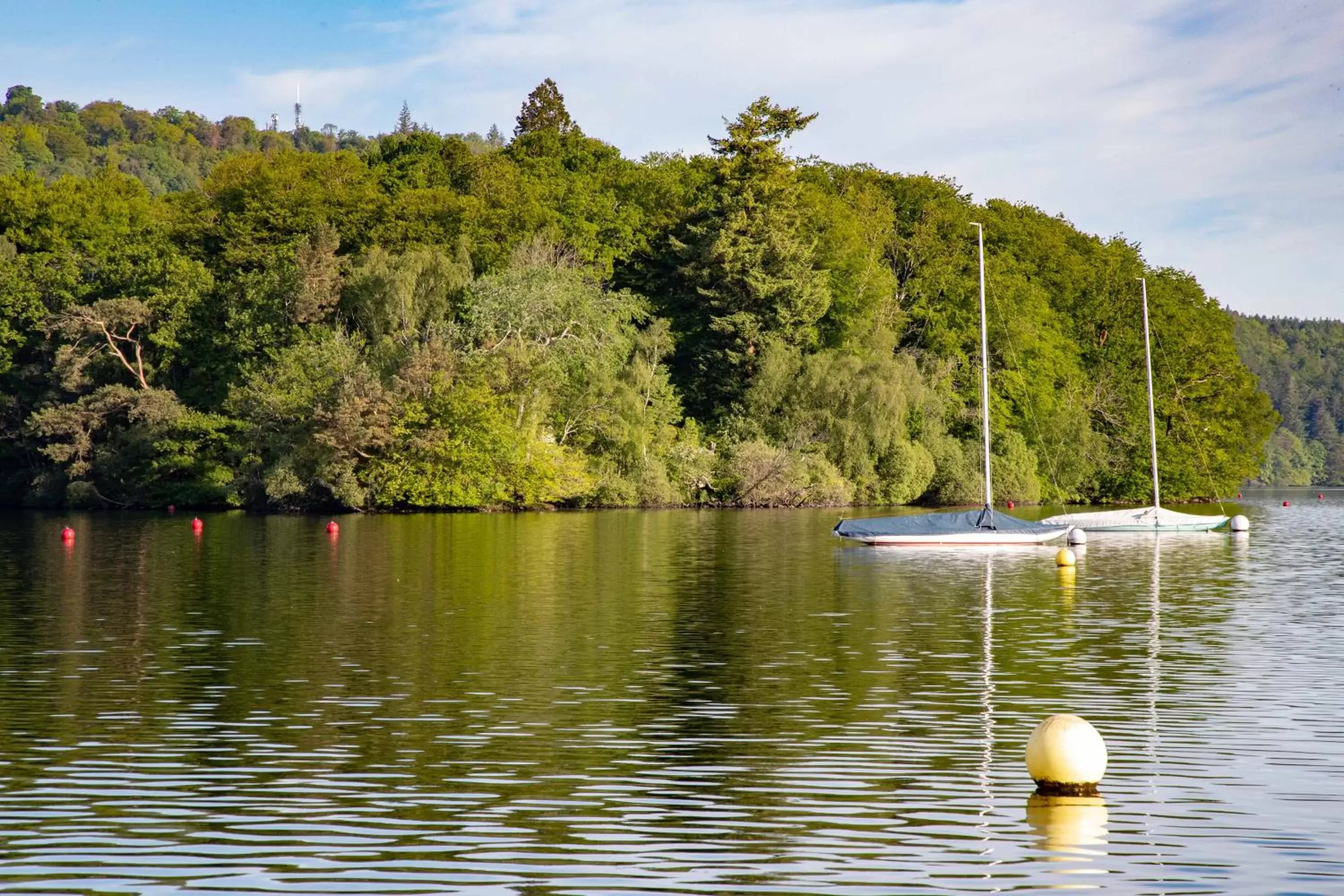 Natural landscape in Windermere Hotel