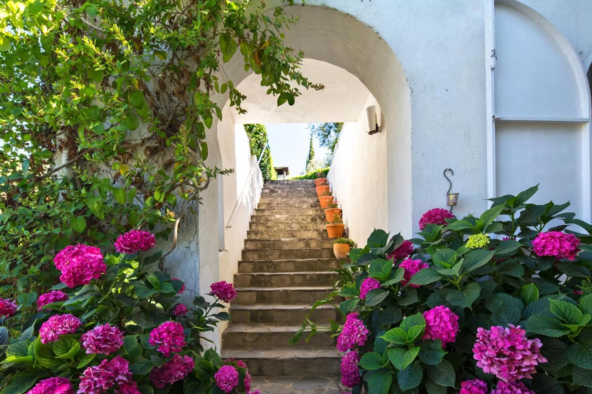 Garden in La Almunia del Valle