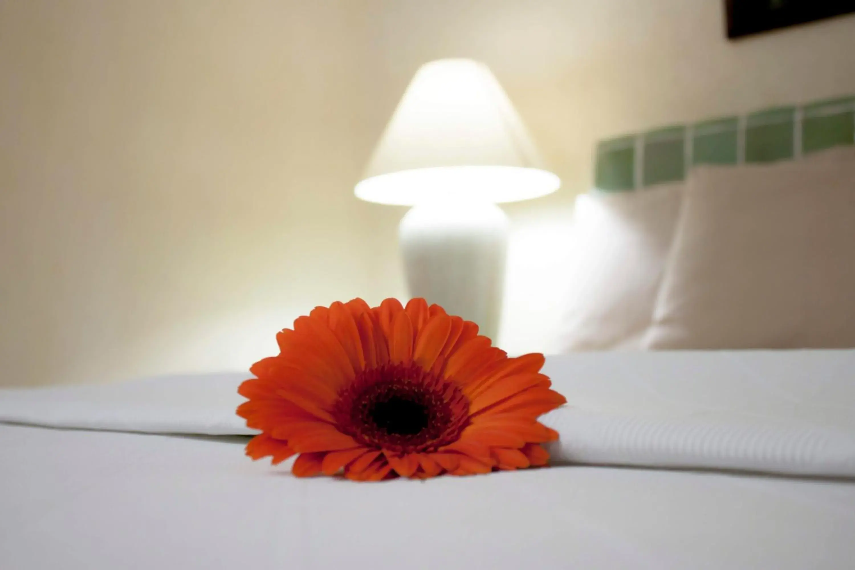 Bedroom, Bed in Coral Ixtapa Bedroom, Bed in Coral Ixtapa