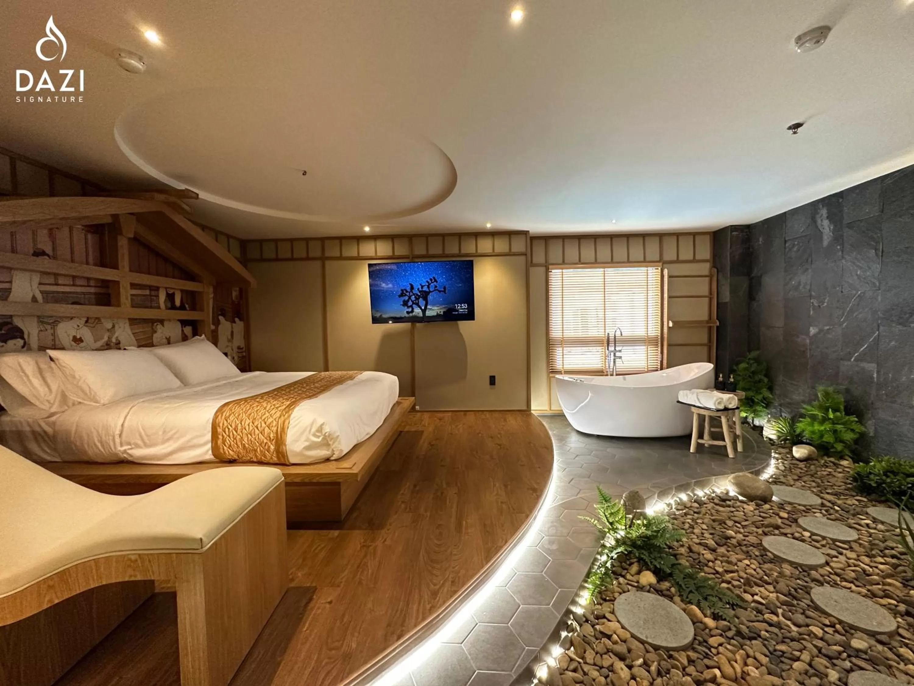 TV and multimedia in Dazi Signature