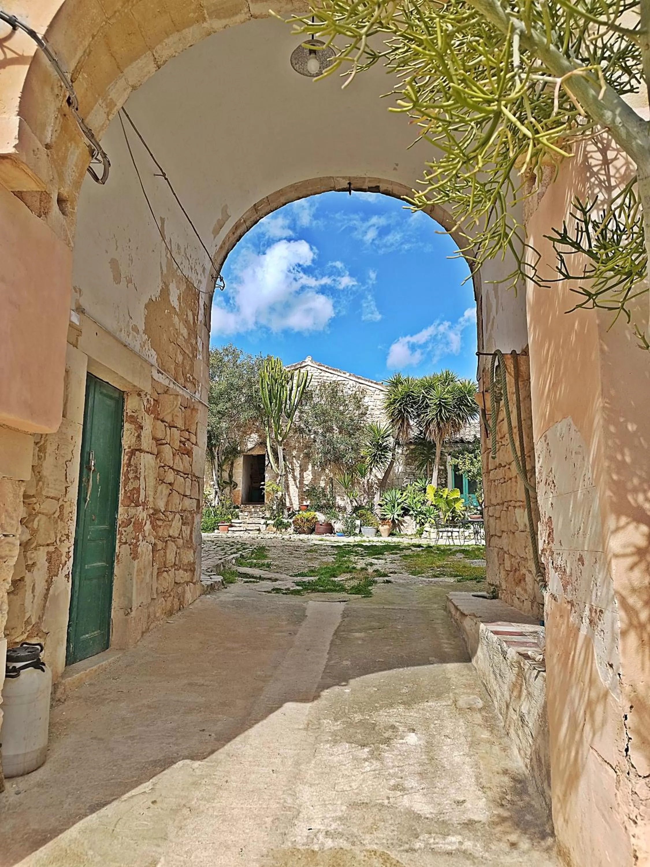 Garden view in Vinciucci