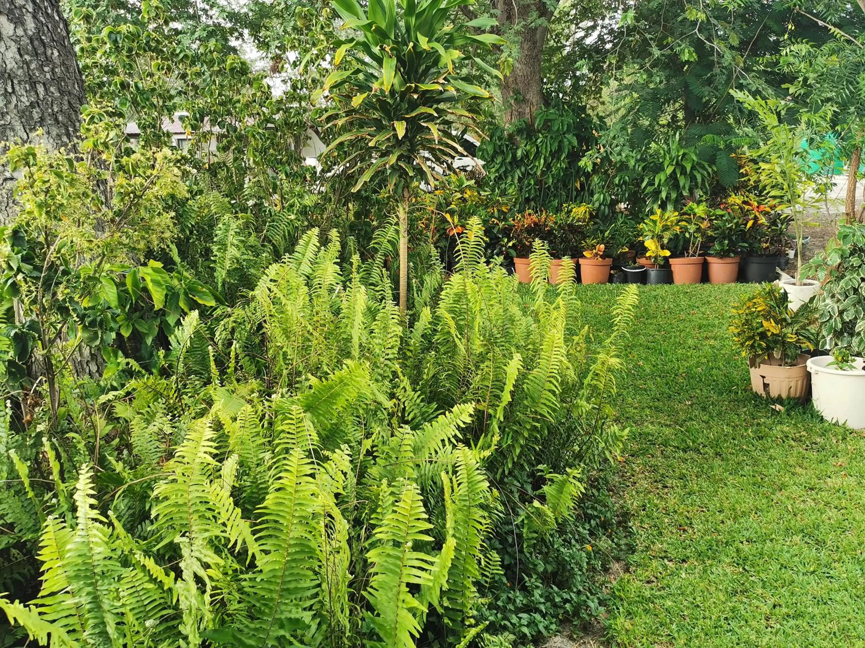 Garden in Happy Forest B&B