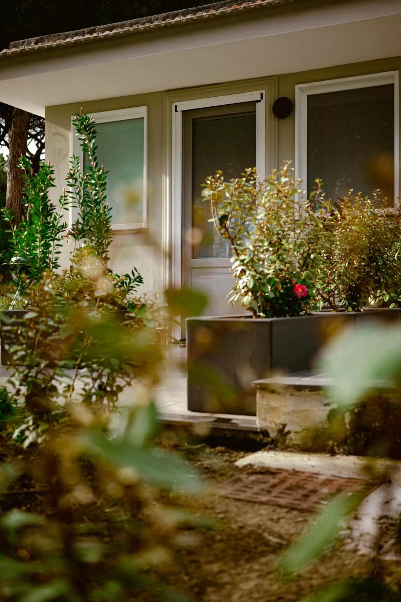 Property building in Bosco Mattavona