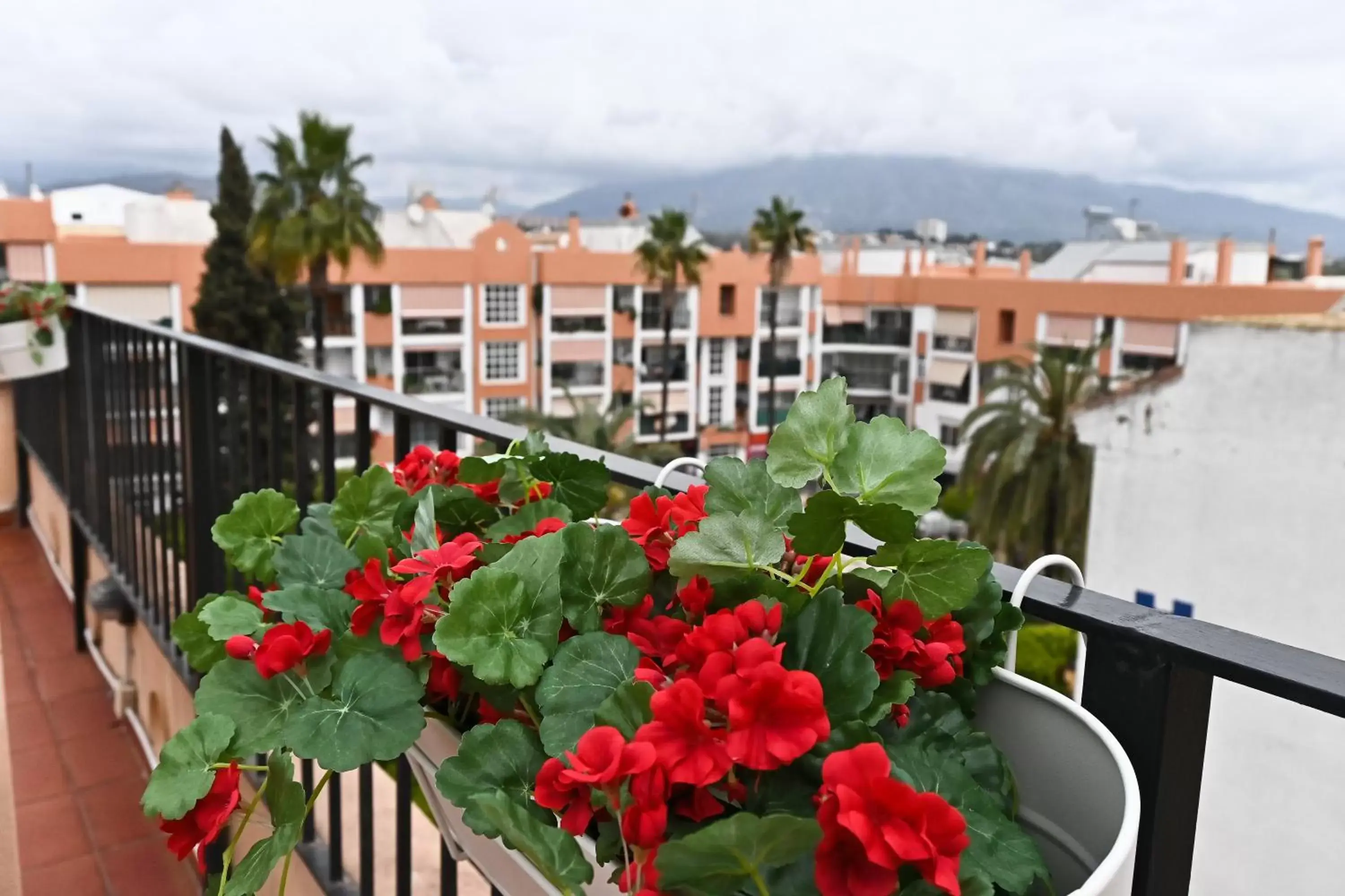 Property building, Balcony/Terrace in Hotel Doña Catalina