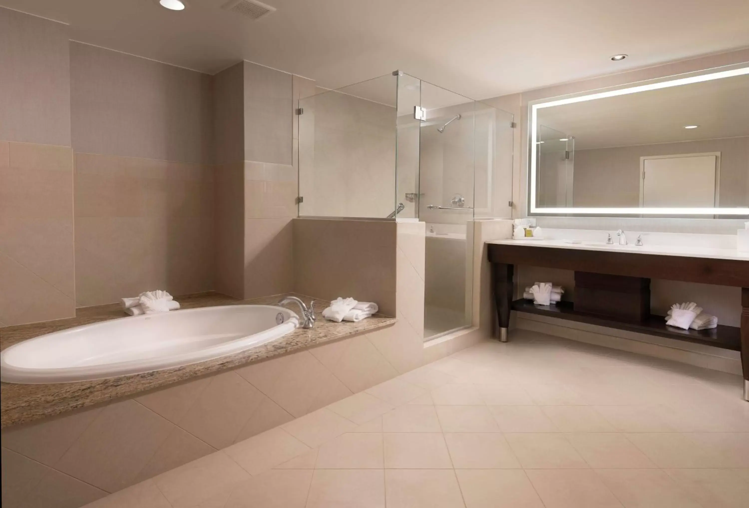 Bathroom in Signia by Hilton Orlando Bonnet Creek