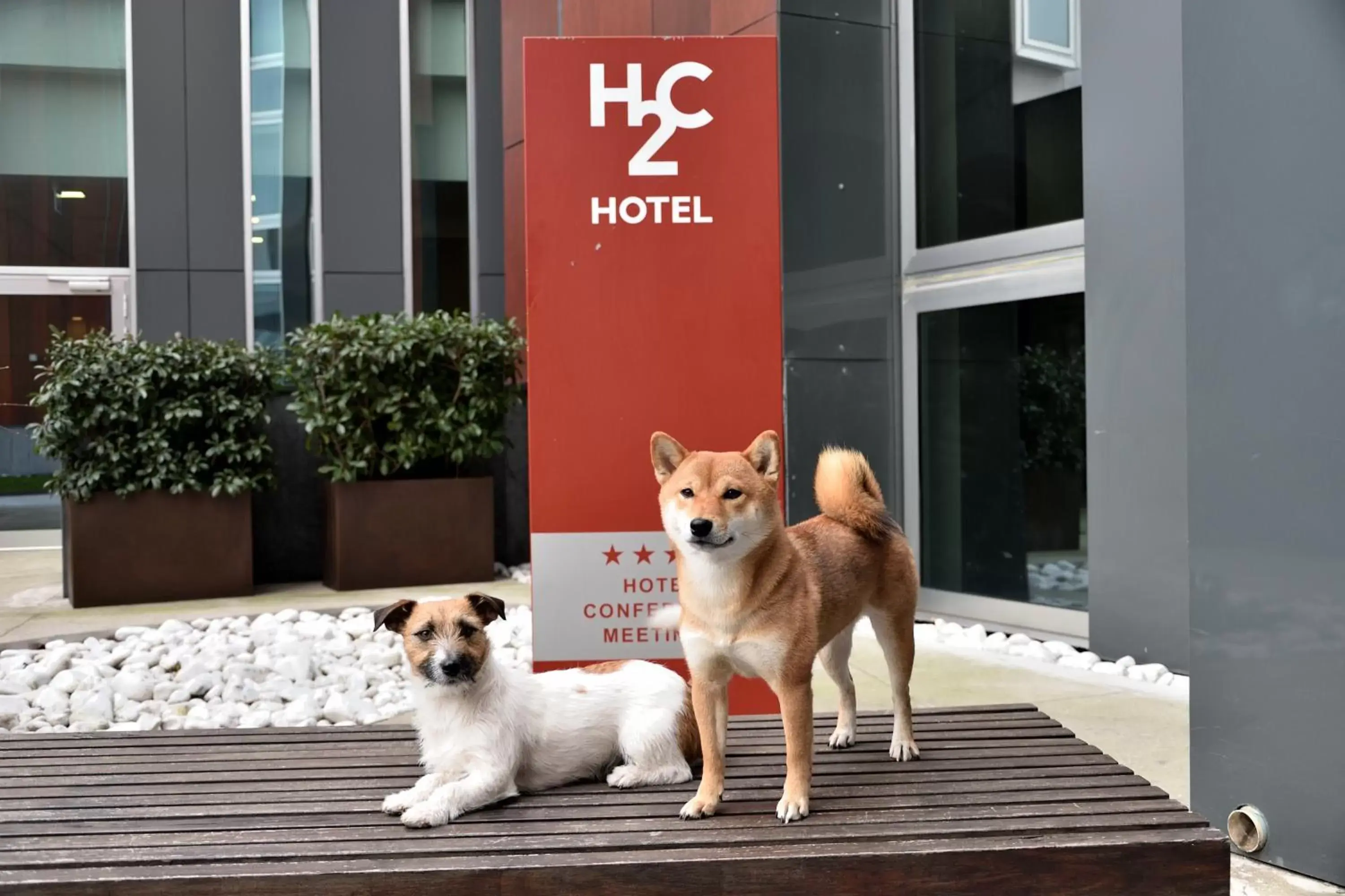 Animals, Pets in H2C Hotel Milanofiori