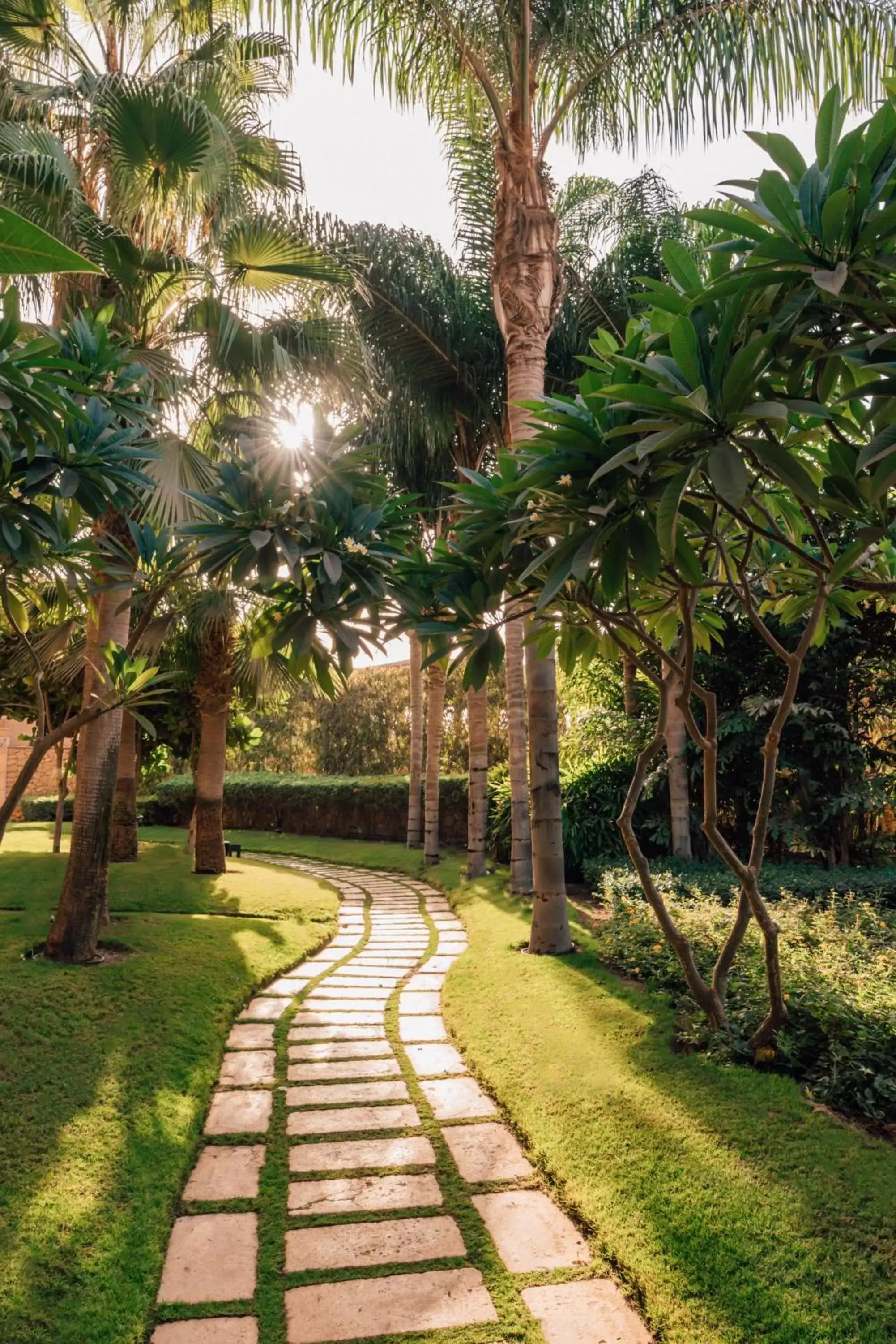 Garden view, Garden in Dusit Thani LakeView Cairo