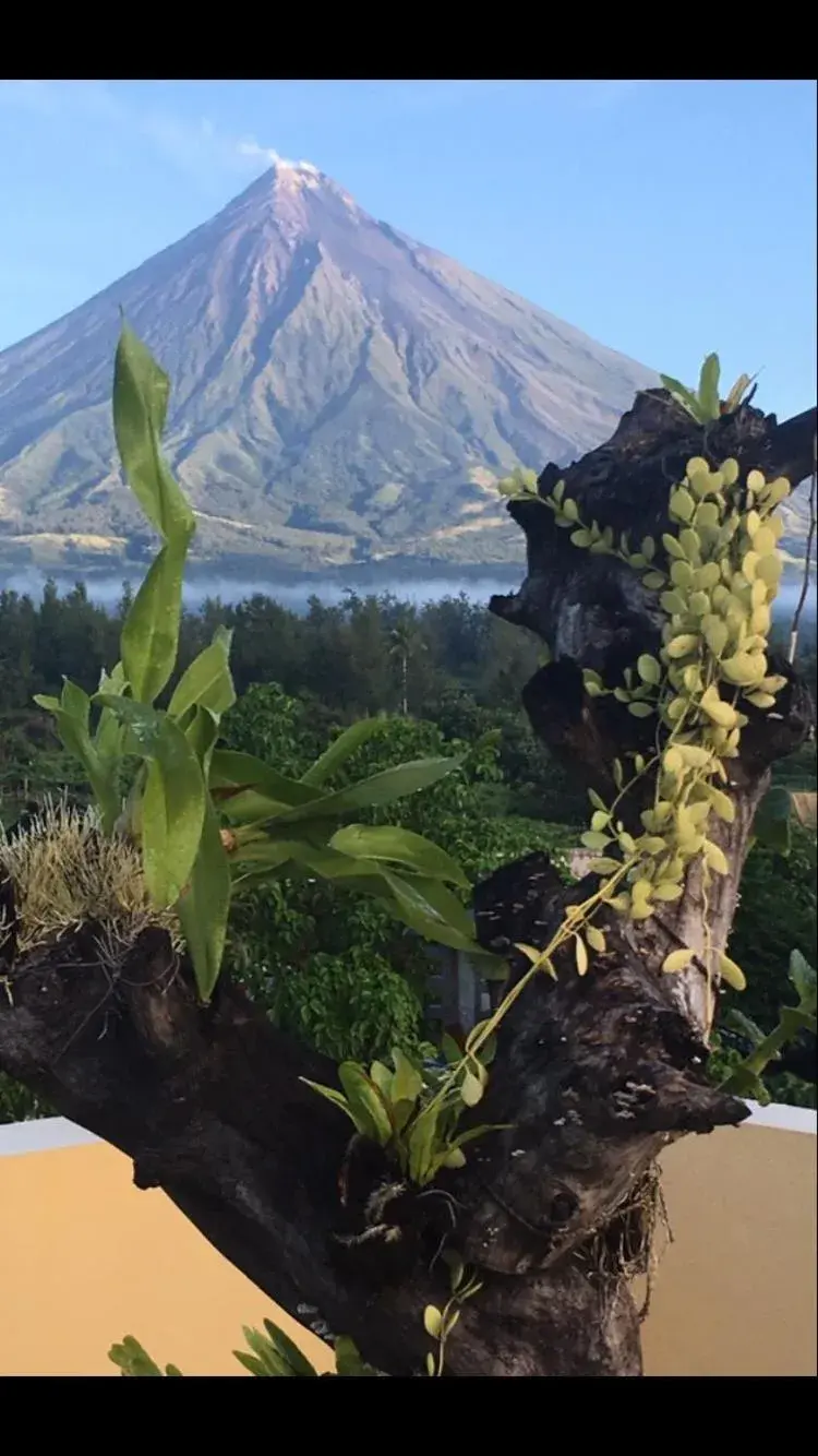 Mountain View in Mayon Lodging House