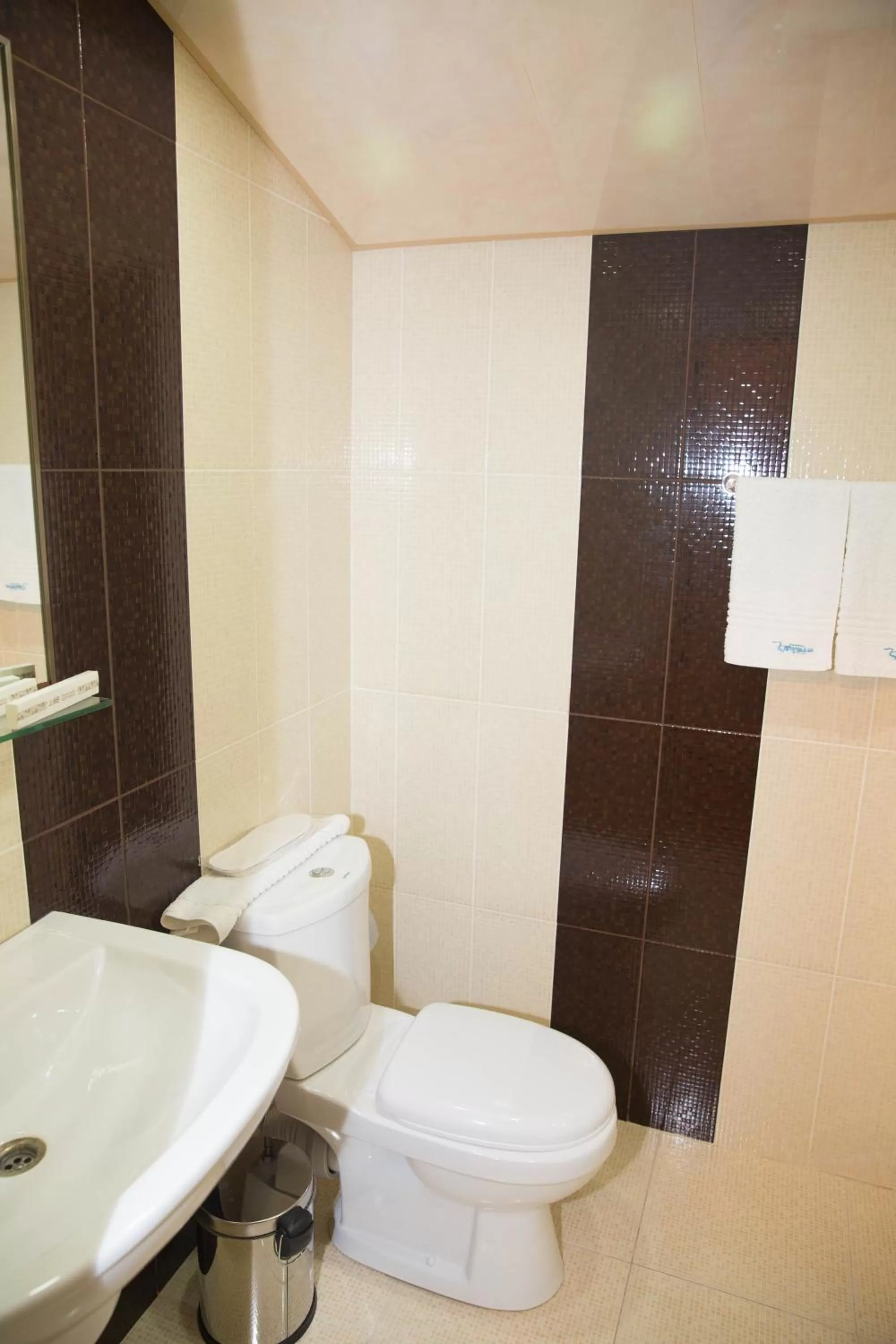 Bathroom in Eridana Hotel