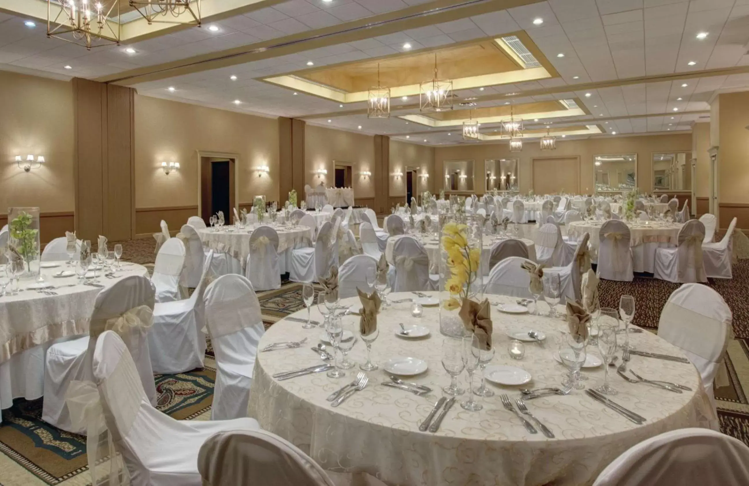 Meeting/conference room, Banquet Facilities in Embassy Suites by Hilton West Palm Beach Central