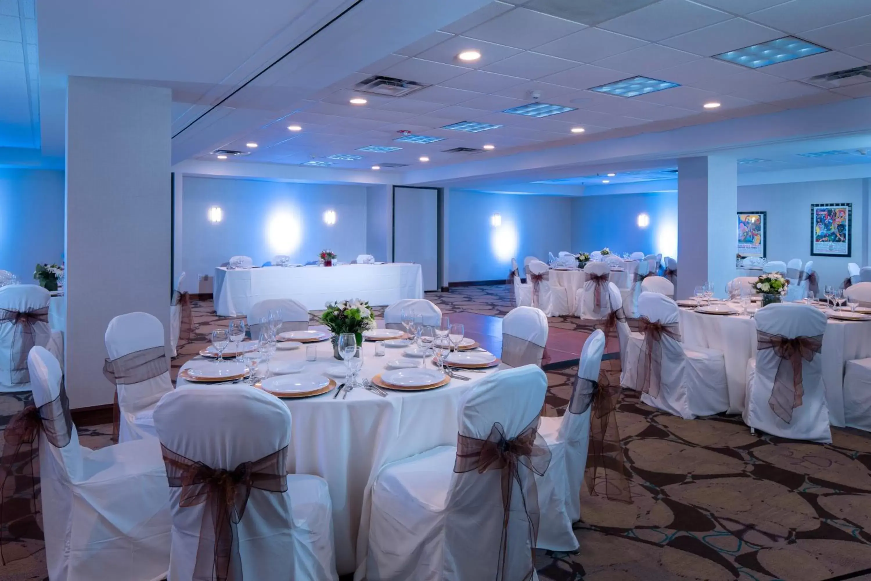 Banquet/Function facilities, Banquet Facilities in Crowne Plaza Memphis Downtown, an IHG Hotel