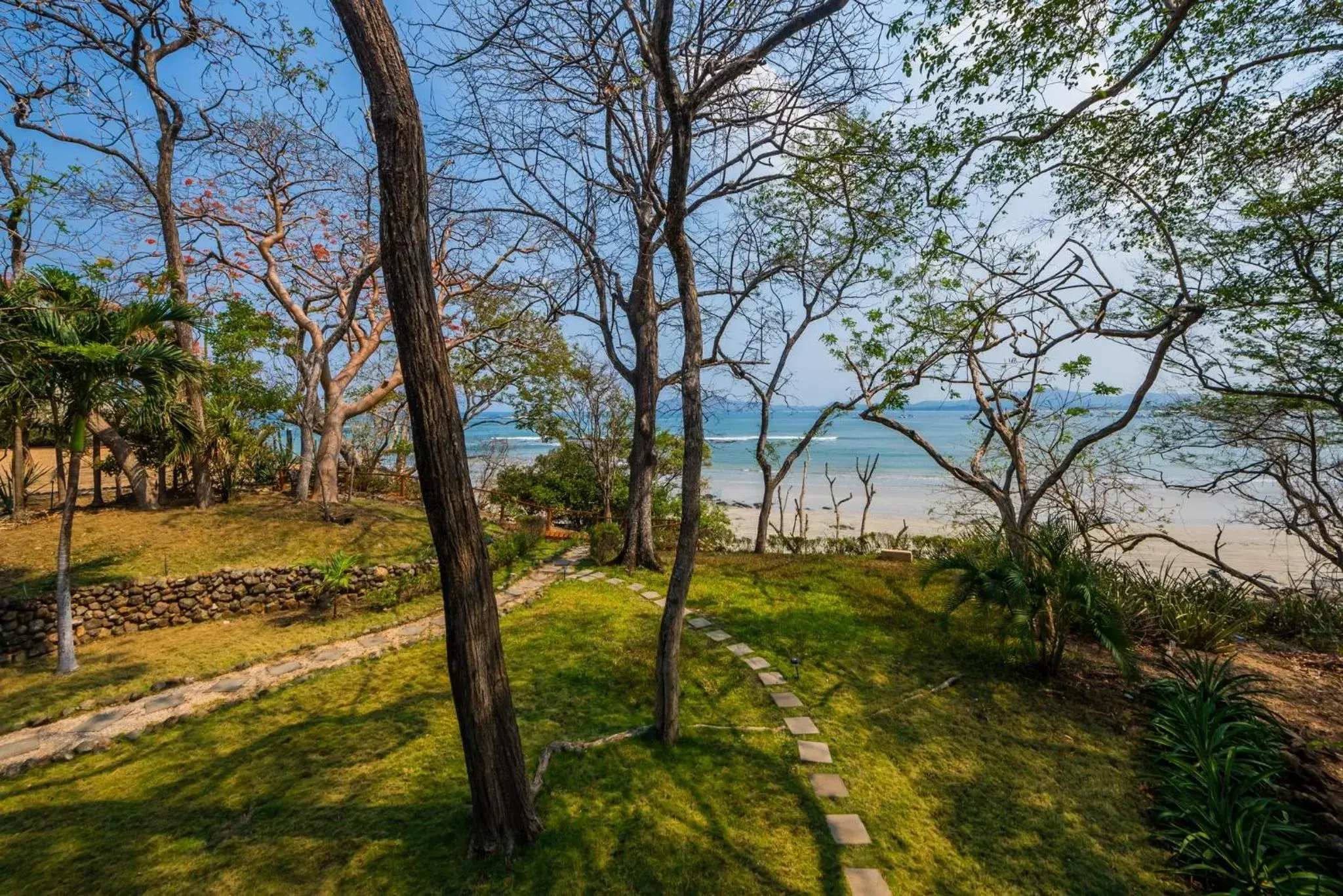 Garden in Corona del Mar