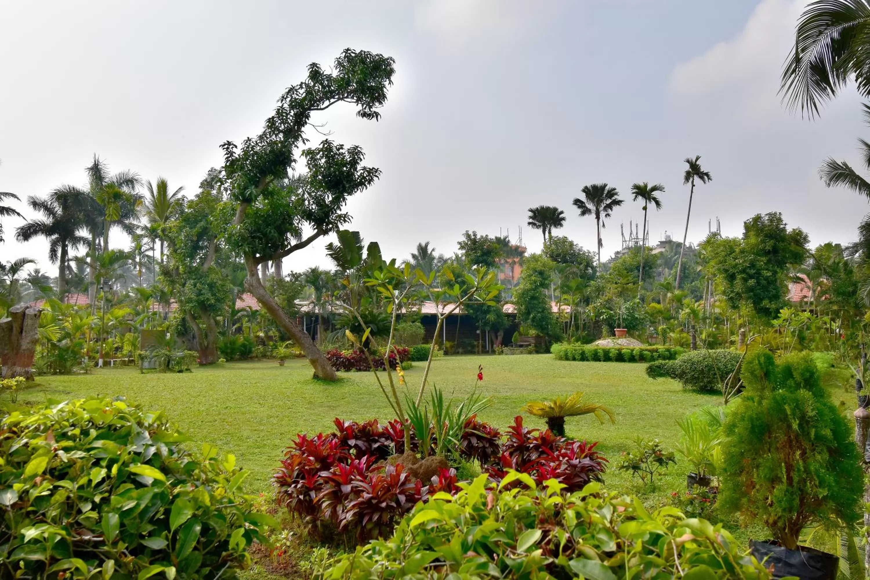 Garden view in Toshali Sands Puri