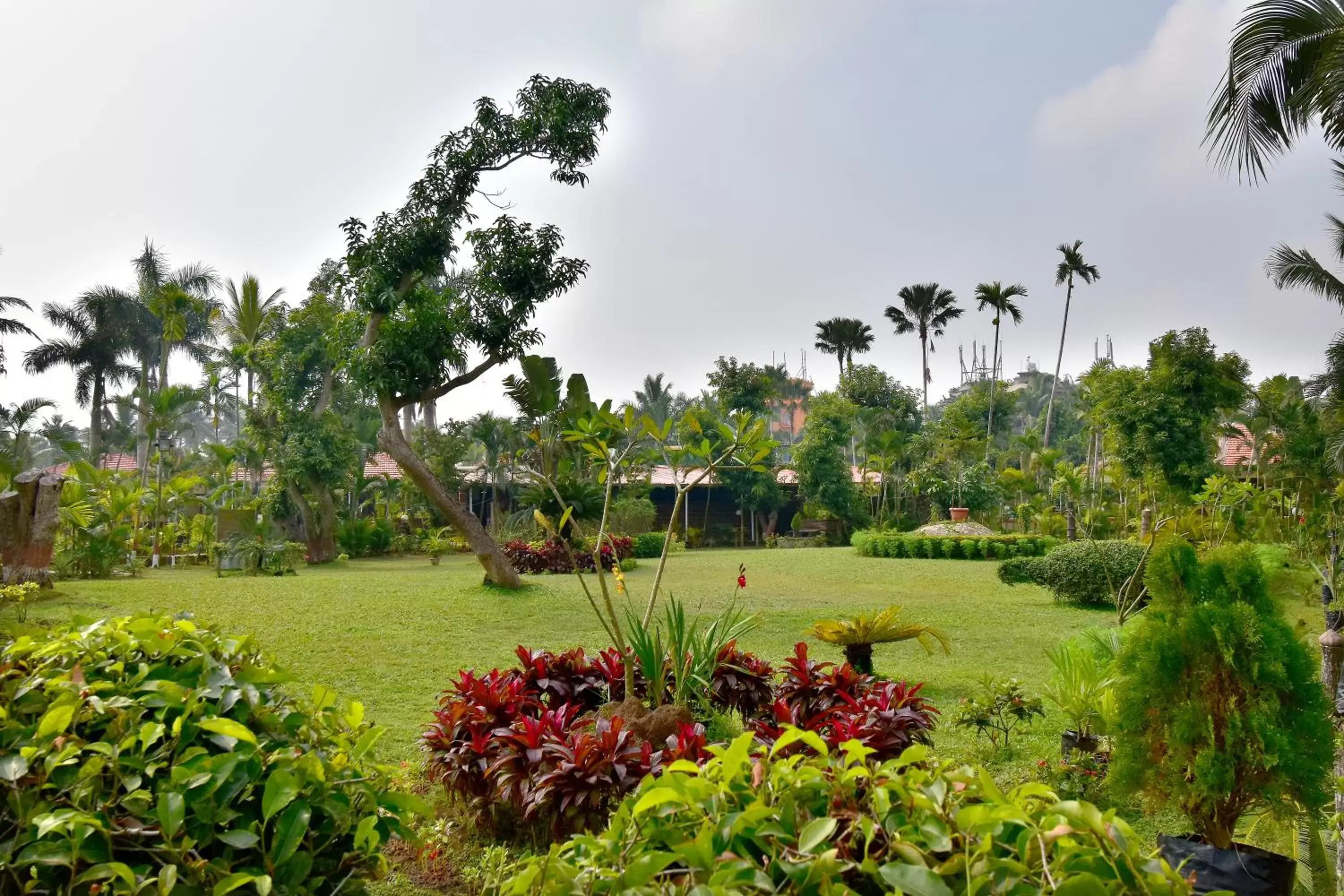 Garden view, Garden in Toshali Sands Puri