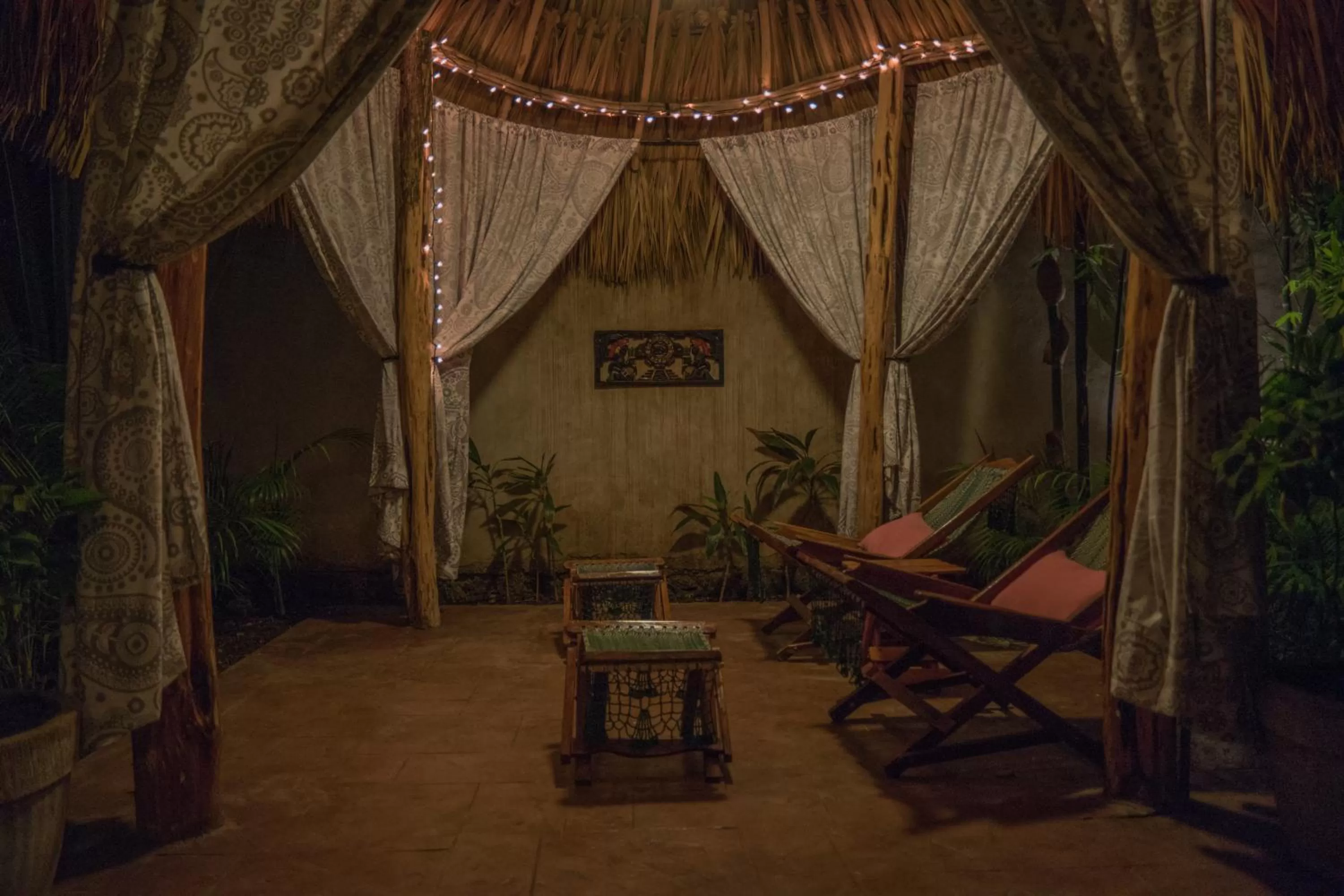 Garden in Casa Del Maya Bed & Breakfast