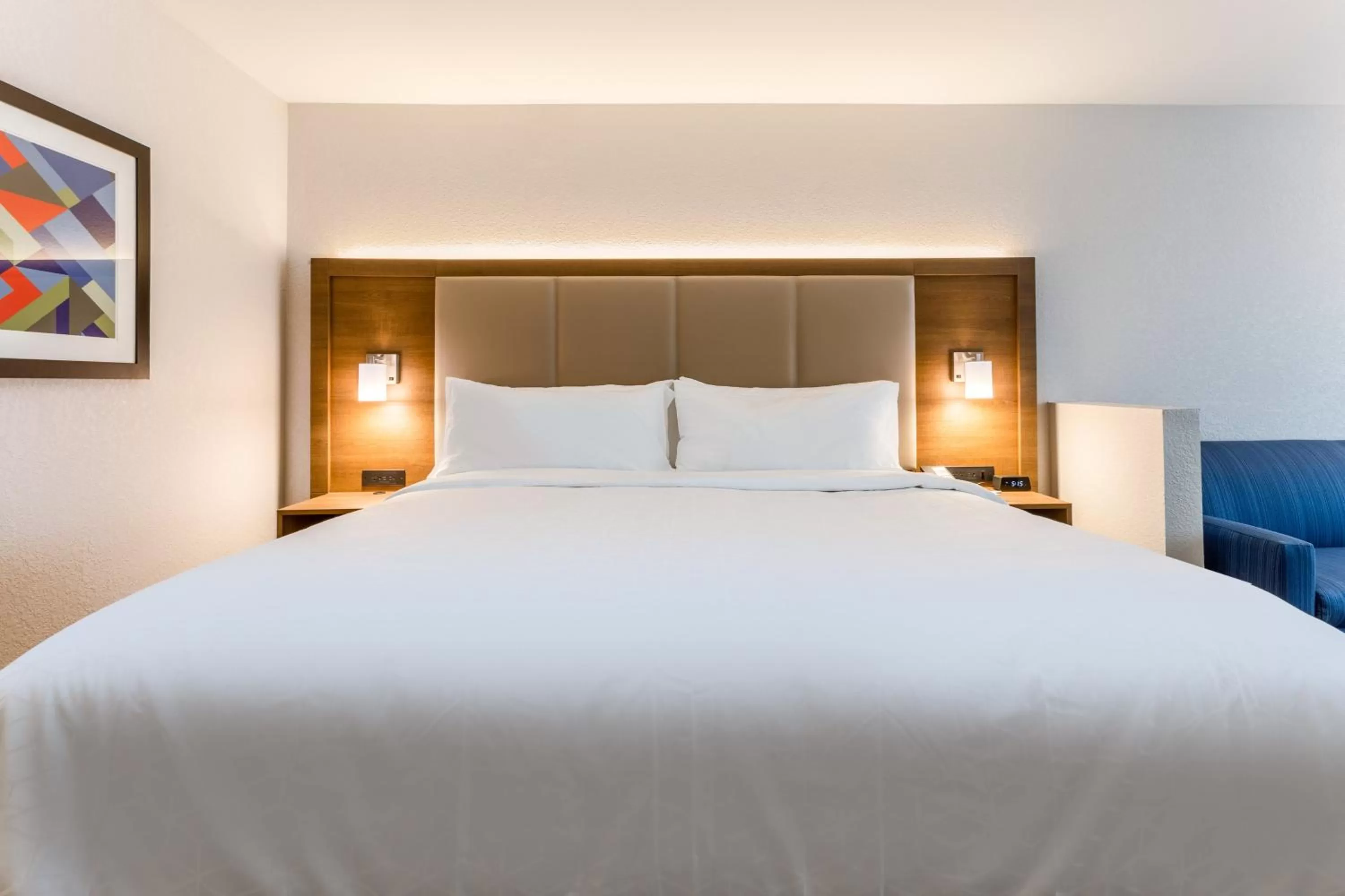 Photo of the whole room, Bed in Holiday Inn Express & Suites - Florence - Cincinnati Airport by IHG