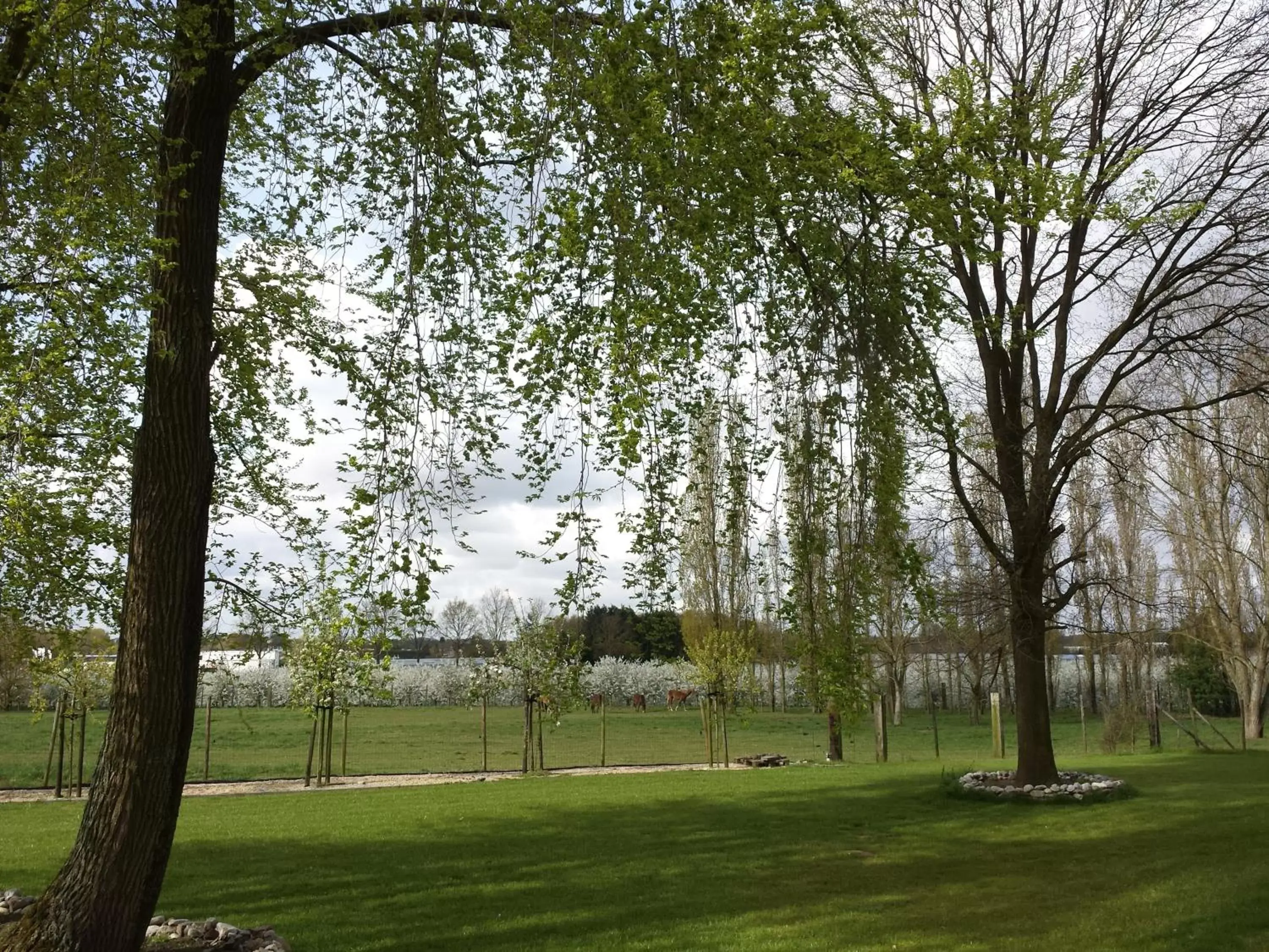 Spring in B&B Johannes-Hoeve