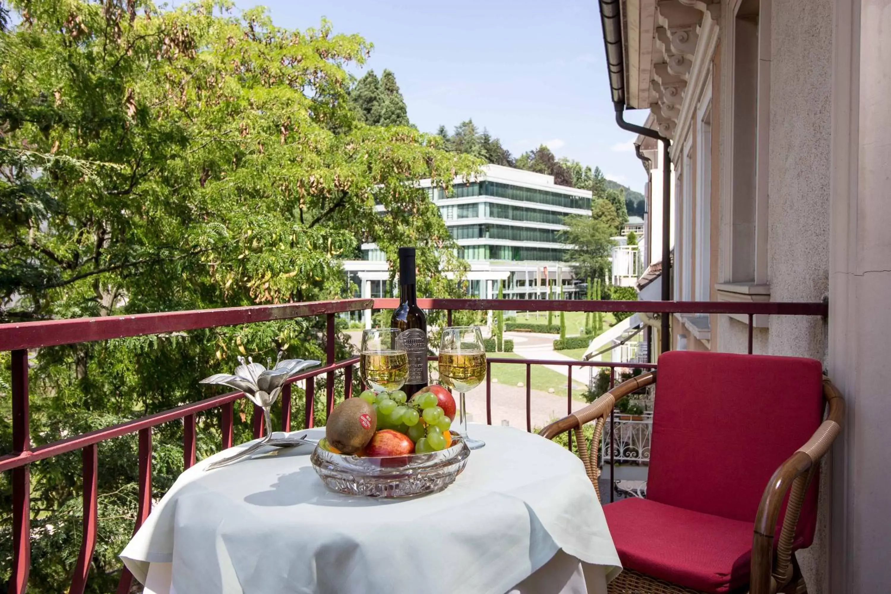 Balcony/Terrace in Hotel Beek