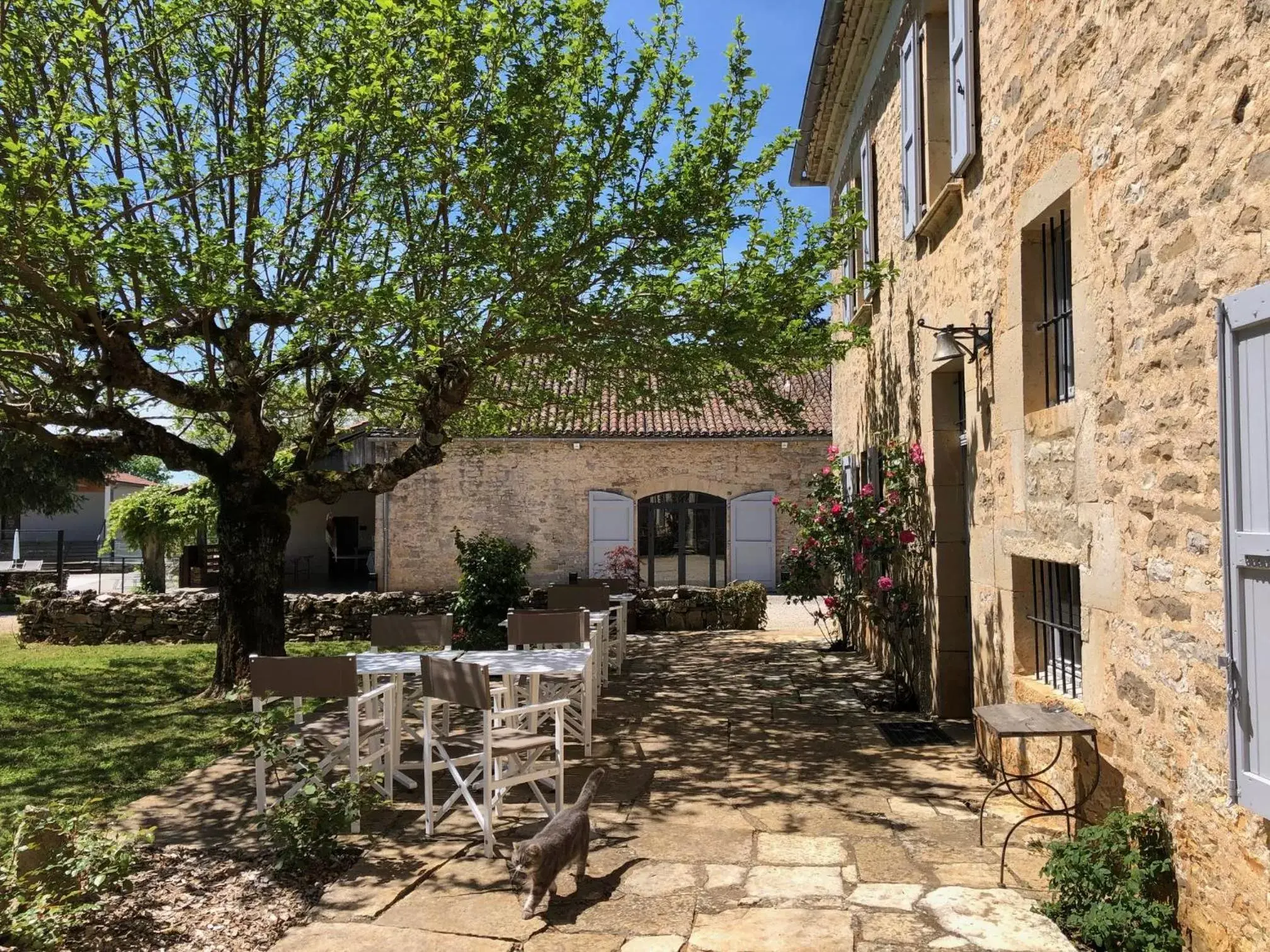 Breakfast, Property Building in Domaine de Monplaisir