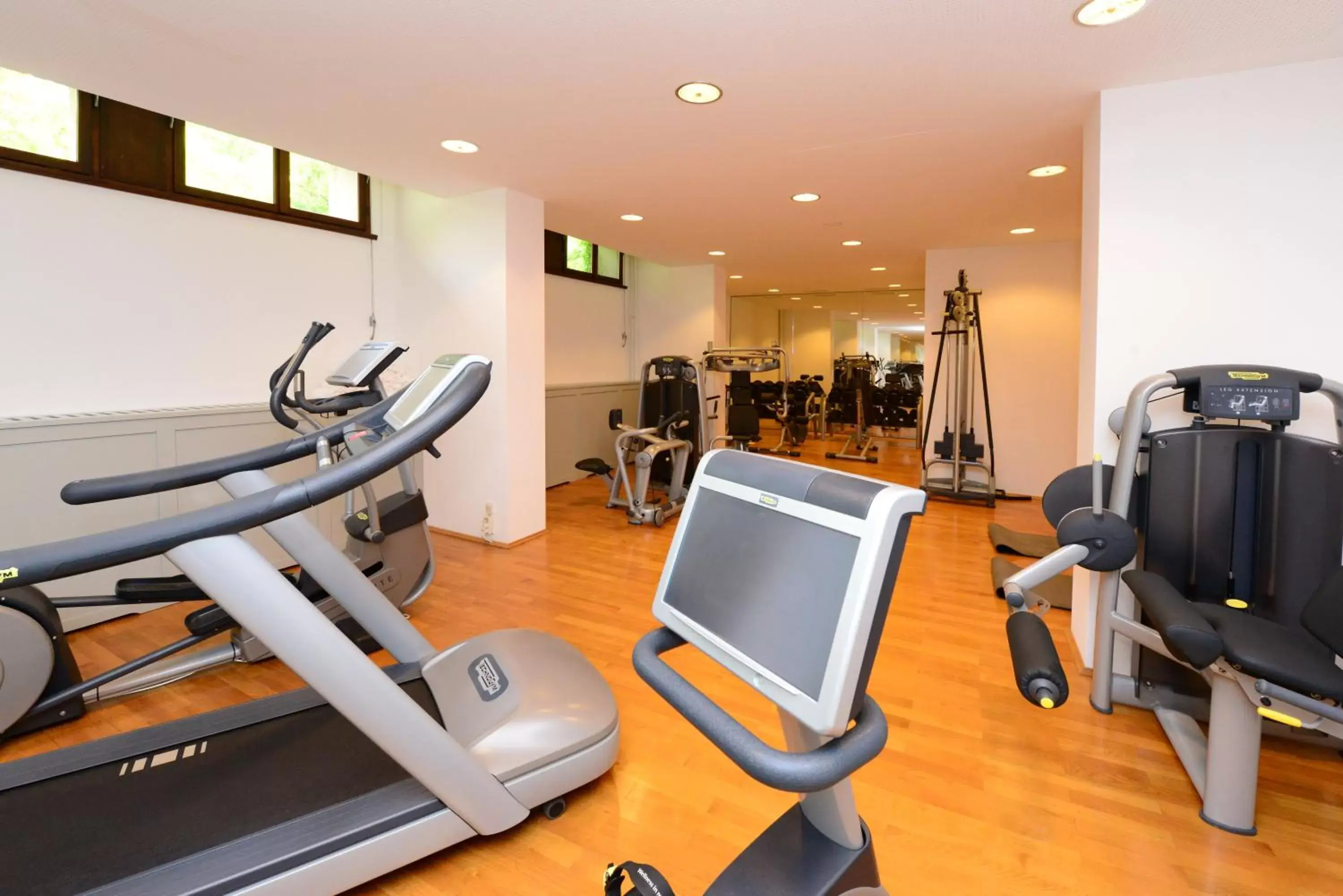 Fitness centre/facilities, Fitness Center/Facilities in Hotel Schloss Eckberg