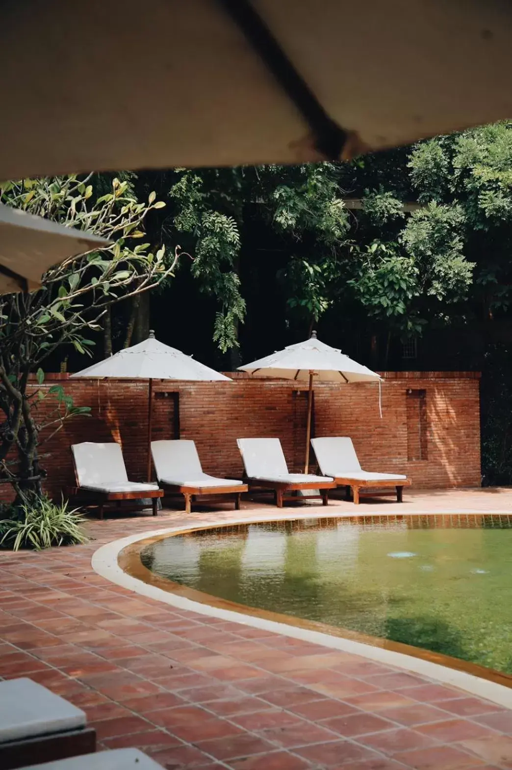 Swimming Pool in Hotel de l'amour SHA PLUS