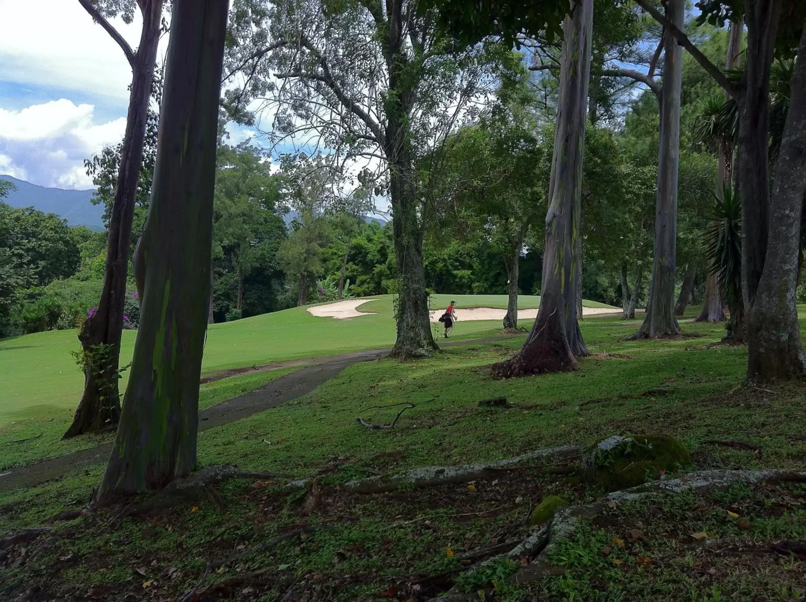 Golfcourse, Garden in Terrazas de Golf Boutique Hotel