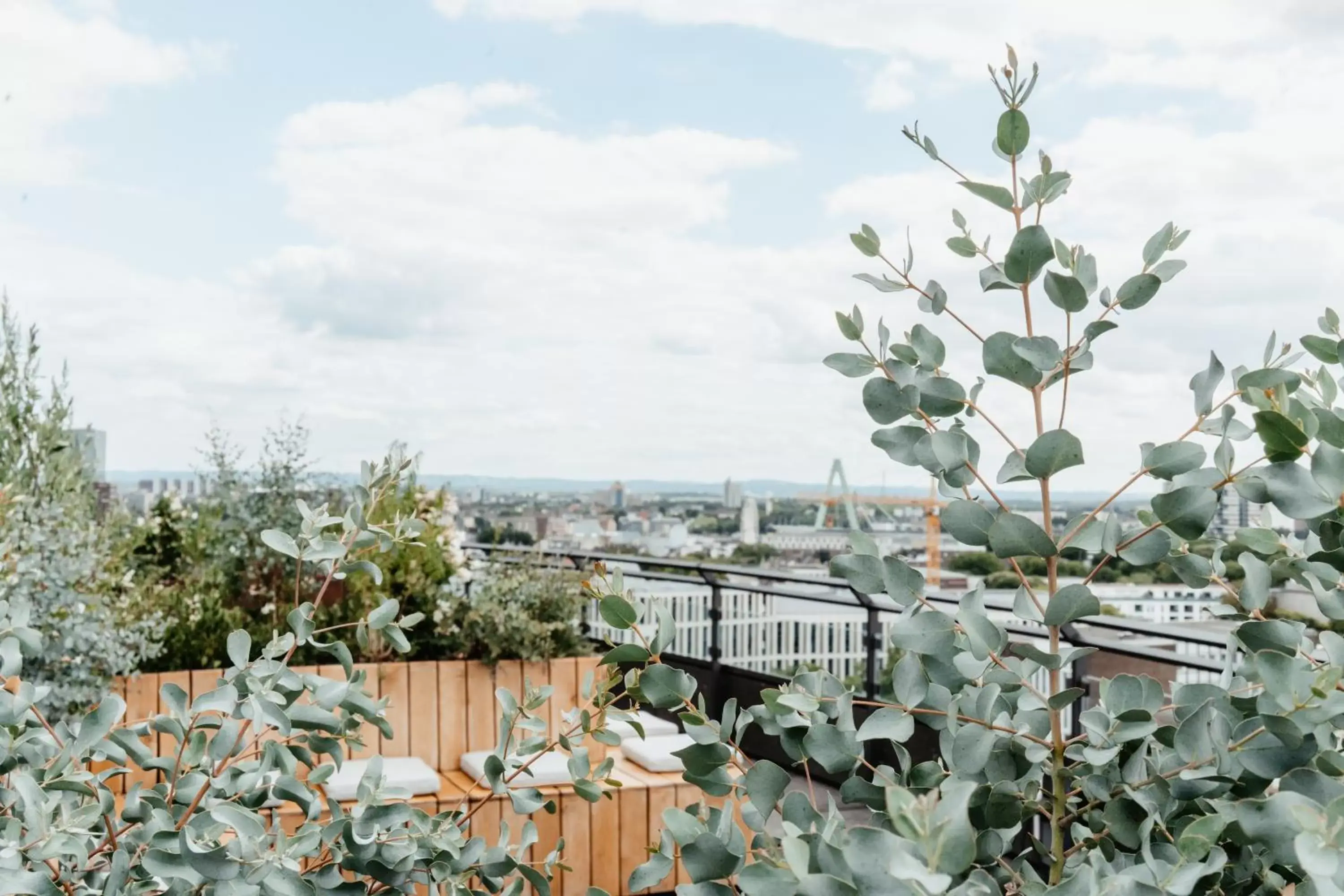 Restaurant/places to eat in Wasserturm Hotel Cologne, Curio Collection by Hilton