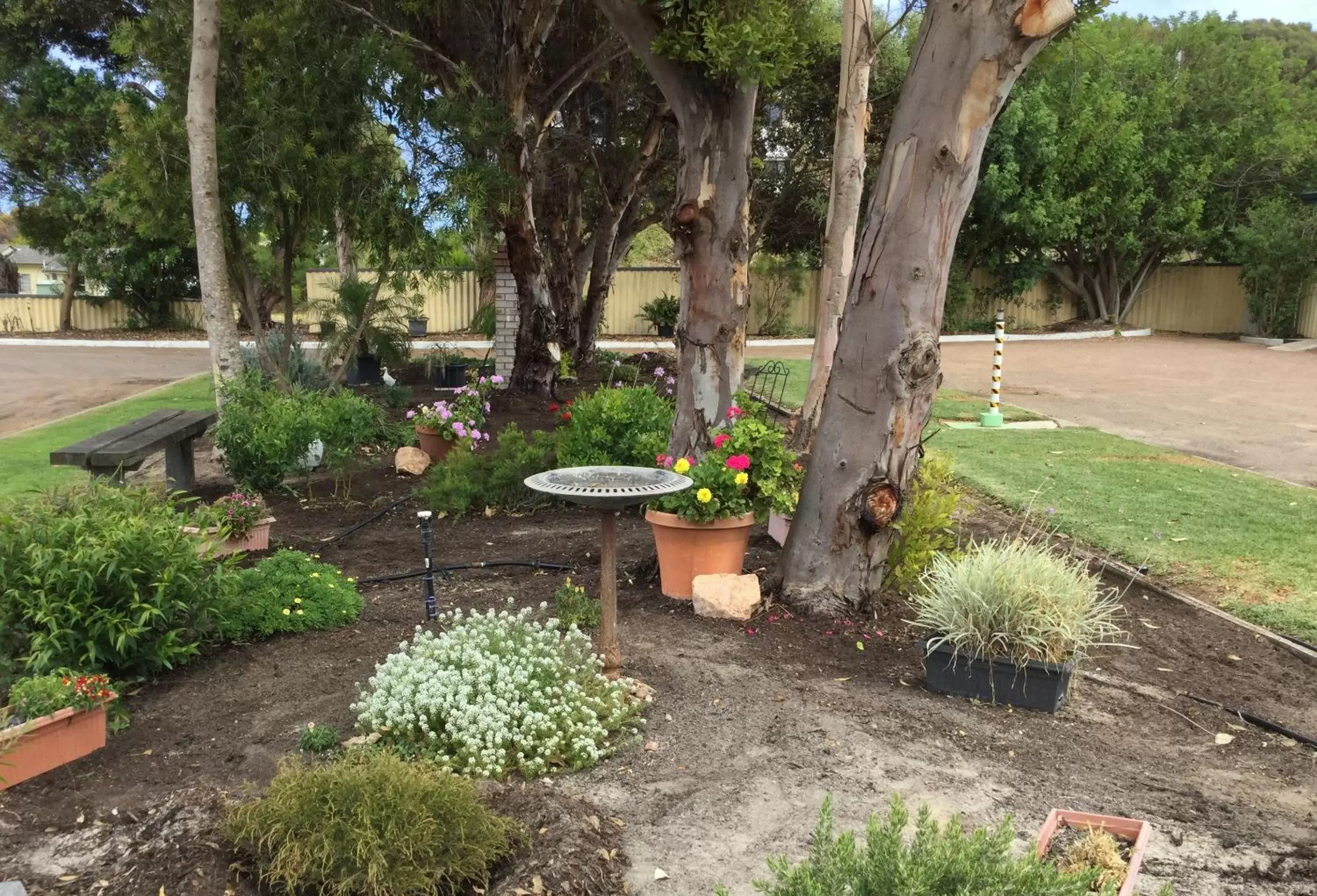 Garden in Bayview Motel