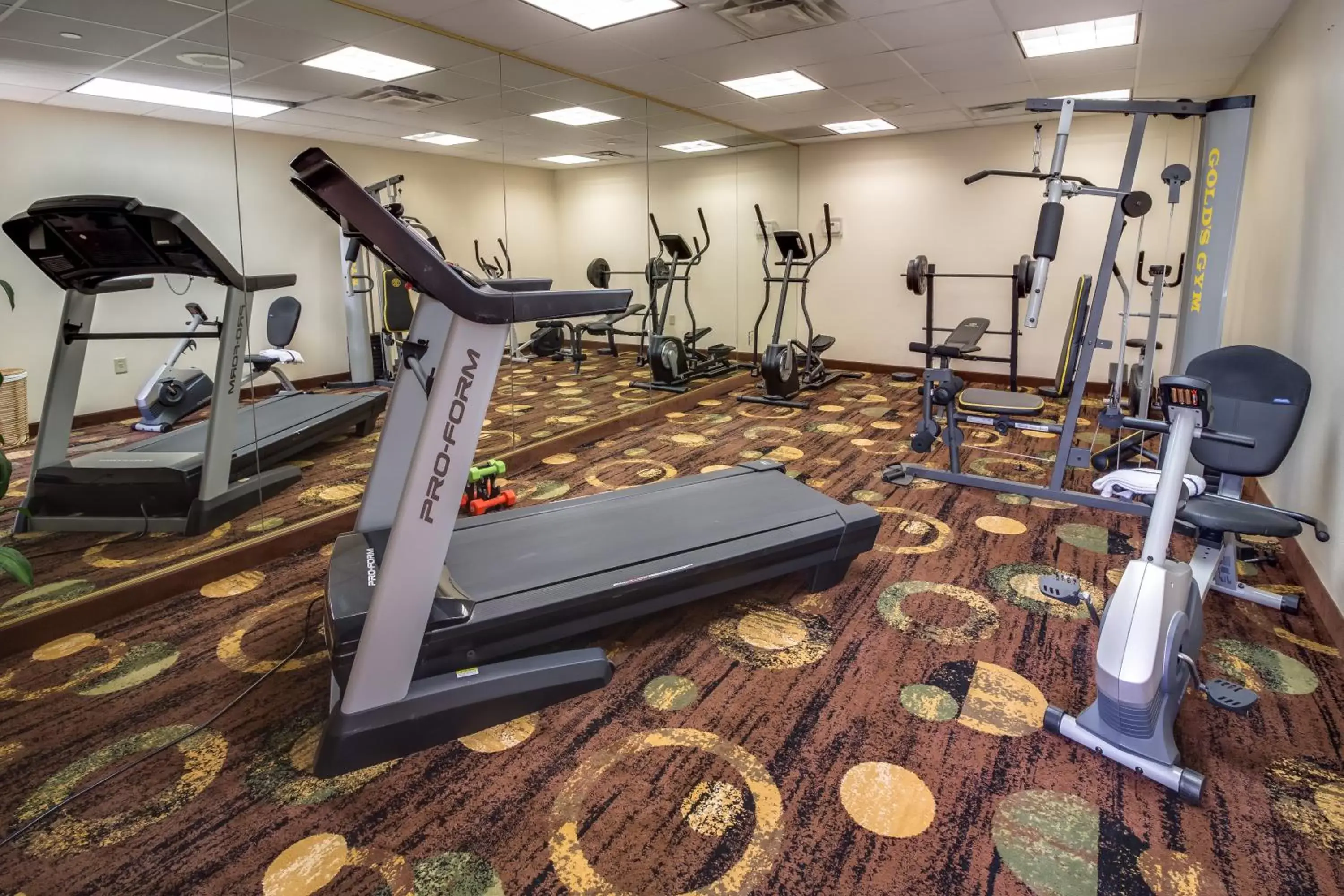 Fitness centre/facilities, Fitness Center/Facilities in Ashmore Inn Amarillo